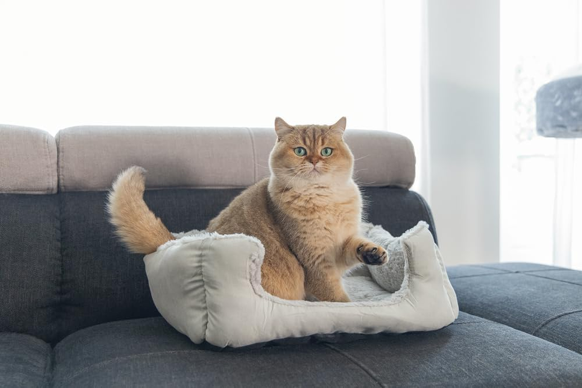 Beeztees Baboo Cat Rest Bed, 37 Cm, Grey image number 2