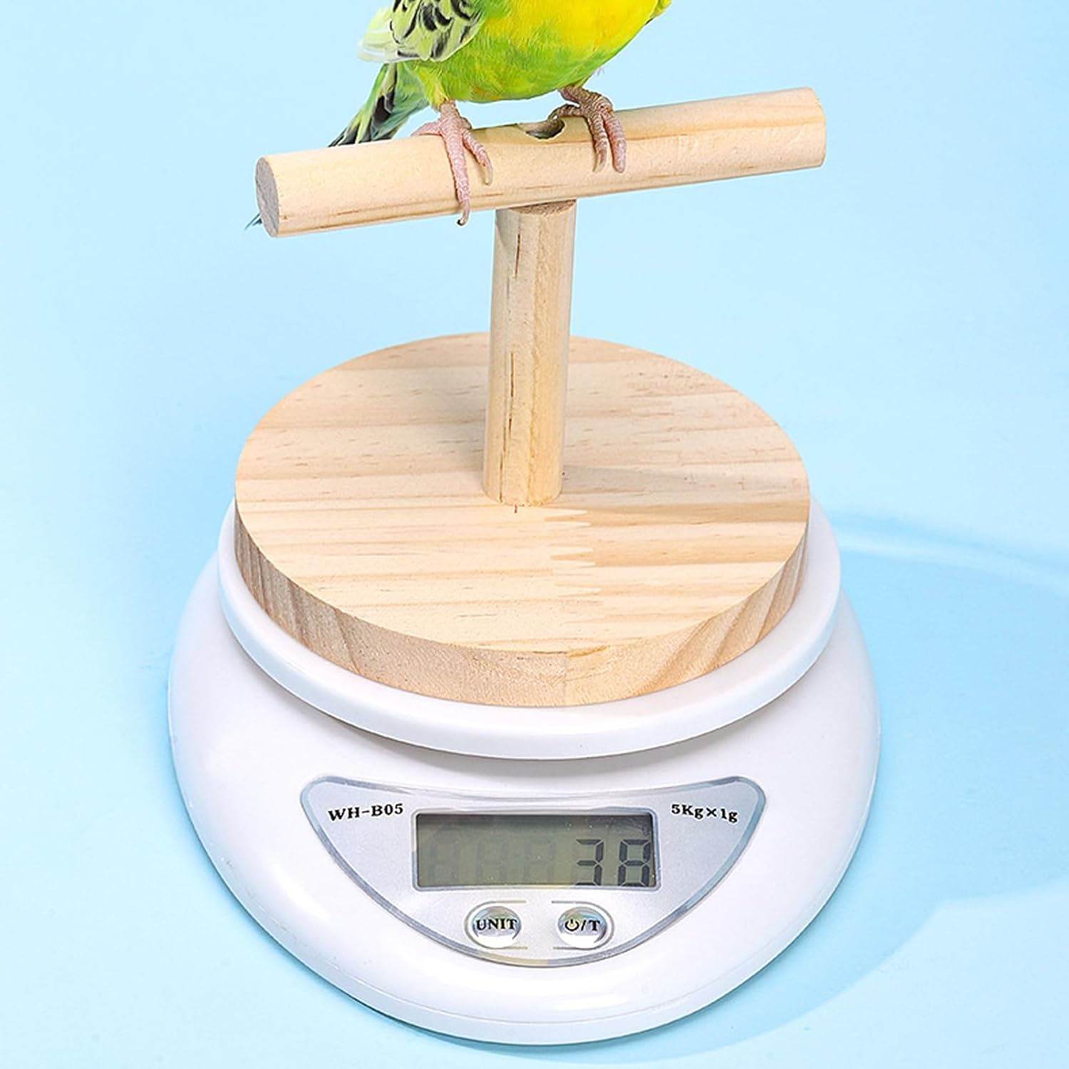 Bird Scale with Perch - Small Animal Scale with Perch for Pet Bird | High Accuracy, Convenient Digital Weighing Tool for Weight Changing Monitoring image number 3