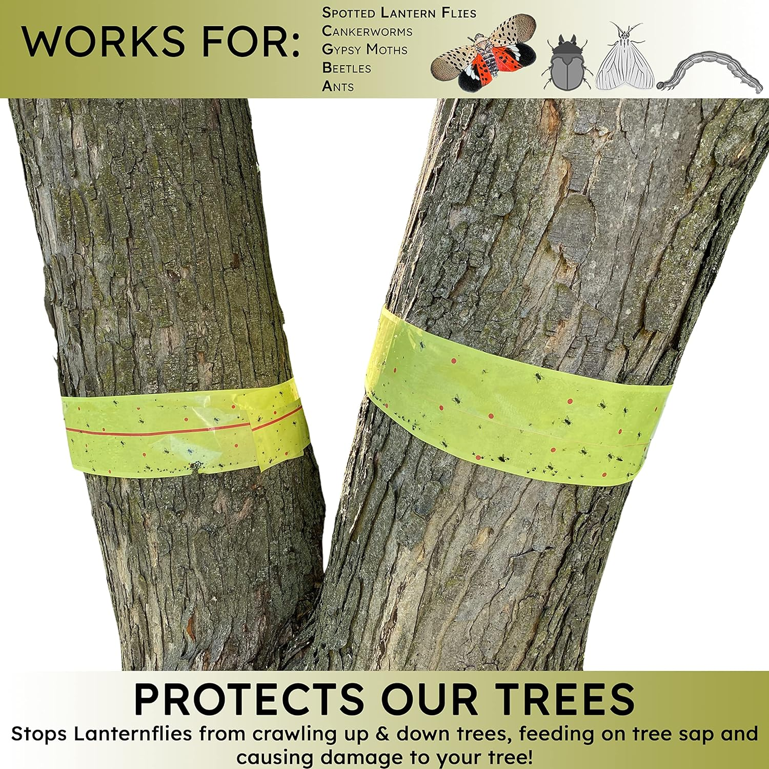 W4W, Spotted Lantern Fly Tree Trap - 4 Rolls (30 Feet Each Roll) - Lanternfly Tree Tape Creates a Sticky Barrier Protecting Trees from Harmful Insects - Non-Toxic image number 1