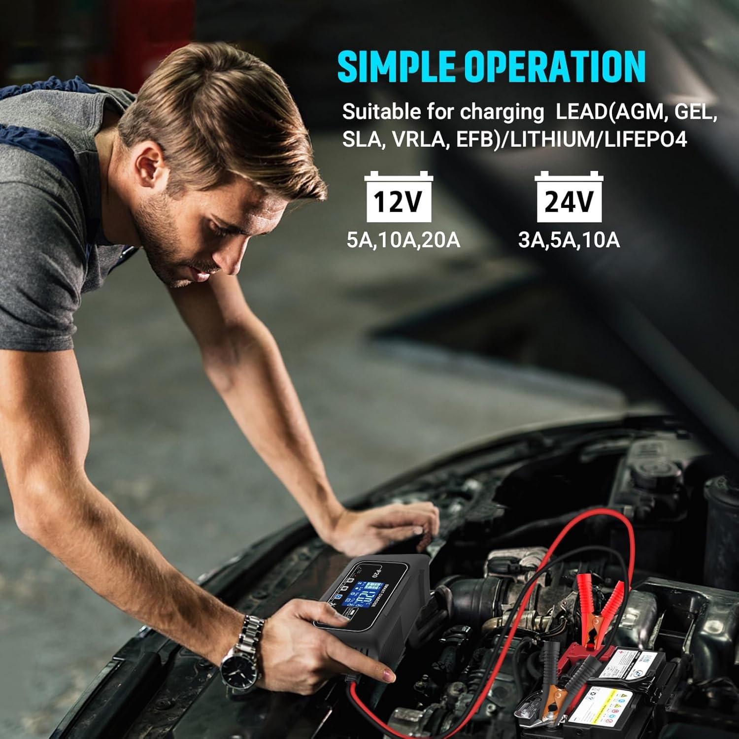 20-Amp Smart Battery Charger for Lithium Lifepo4 & Lead-Acid (Agm/Gel/Sla) Batteries &ndash; 12V/20A & 24V/10A Trickle Charger Maintainer for Car, Boat, Motorcycle, Lawn Mower, and Golf Cart