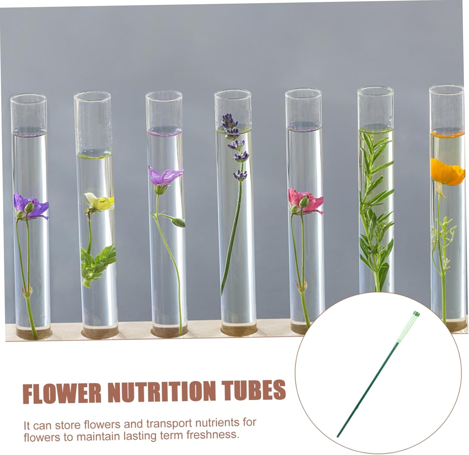 5Sets Flower Water Tubes for Fresh Flowers Culture Tubes Floral Water Vials Plastic Vials Arrangement Tools image number 1