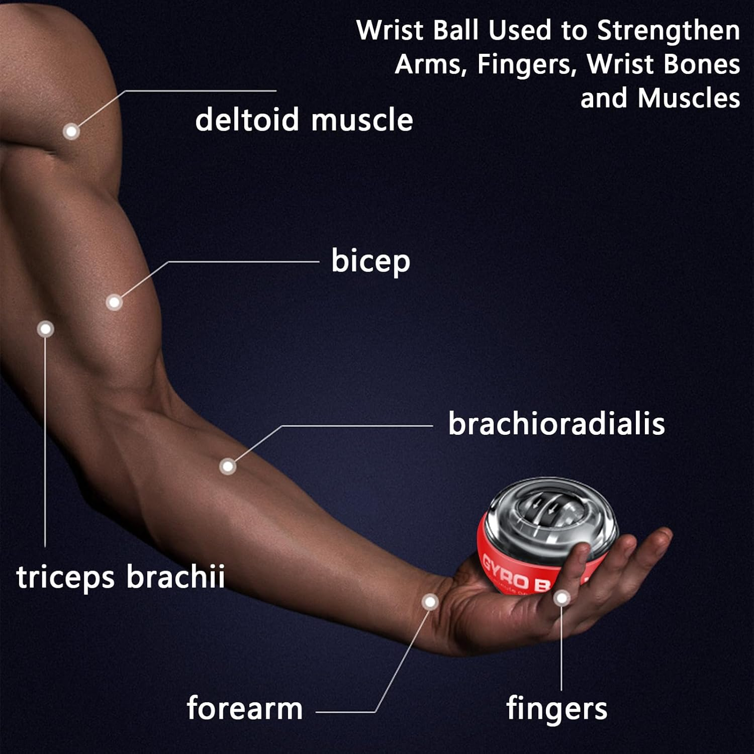 Gyro Ball with LED Lighting, Forearm Exerciser Auto-Start Wrist Strengthener , Lotorr Ball Used to Strengthen Arms, Fingers, Wrist Bones and Muscles image number 3