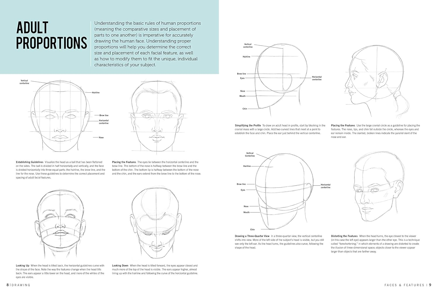 Faces & Features (Drawing): Learn to Draw Step by Step image number 3