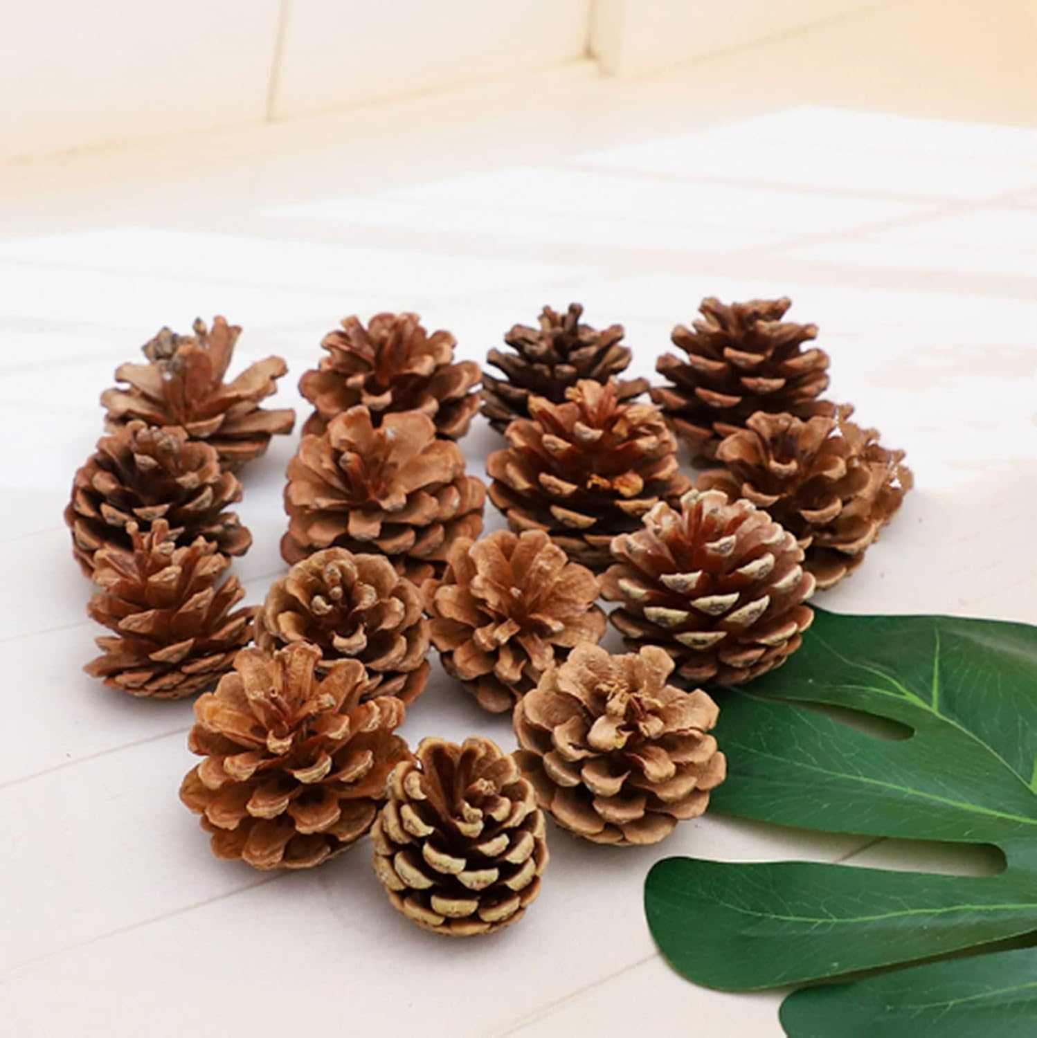 Christmas Bulk Package of Natural Pinecones for Home Party Decorations-25 Pack (1)