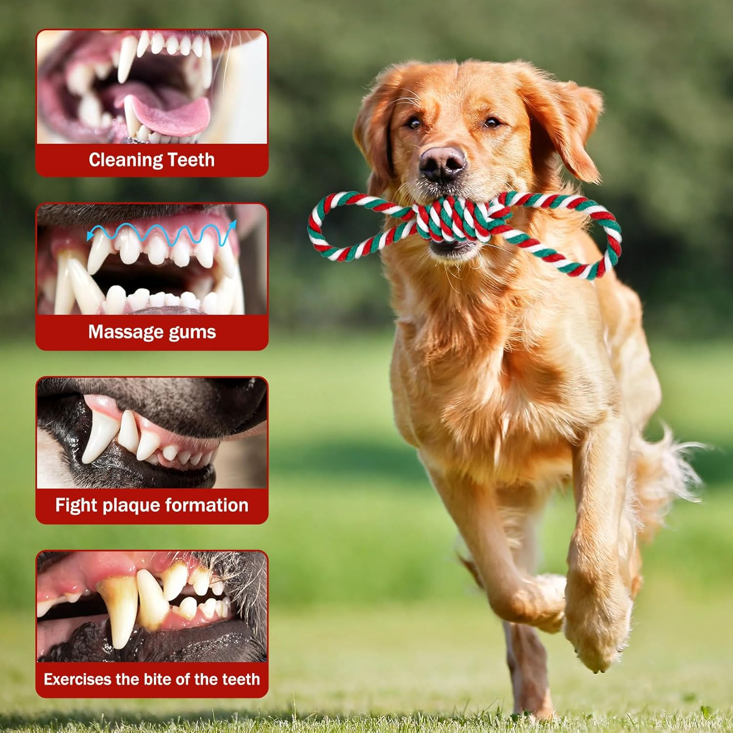 Pack of 6 Dog Toys Christmas, Gift Christmas Includes 5 Dog Toys Rope Natural Cotton & 1 Green Dog Bandana, Dog Chew Toy Christmas Dog Toy Candy Cane image number 3