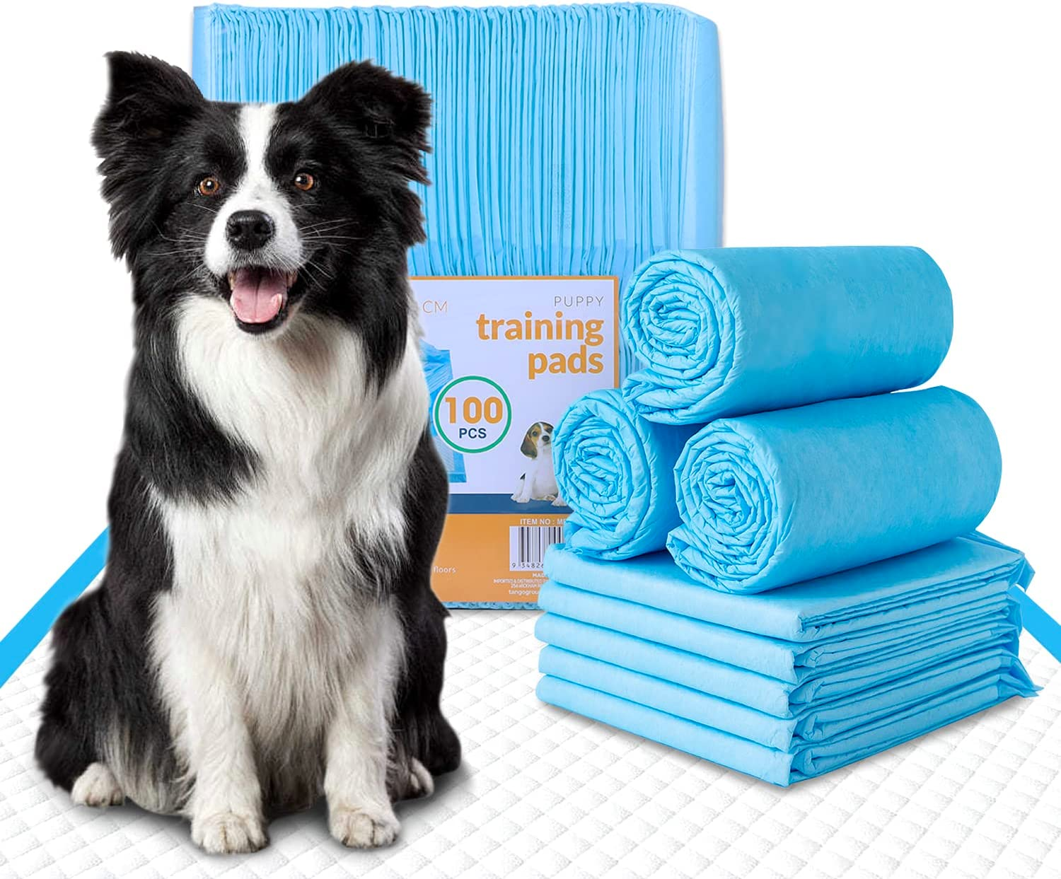 Fandcy Large Dog Pee Pads 100-Count, 60X60Cm Thicken Disposable Dog Training Pads, Super Absorbent Pee Pads for Puppy Dog Doggie, Leak-Proof Piddle Pads for Indoor, Outdoor Use (1Pack-100Count) image number 5