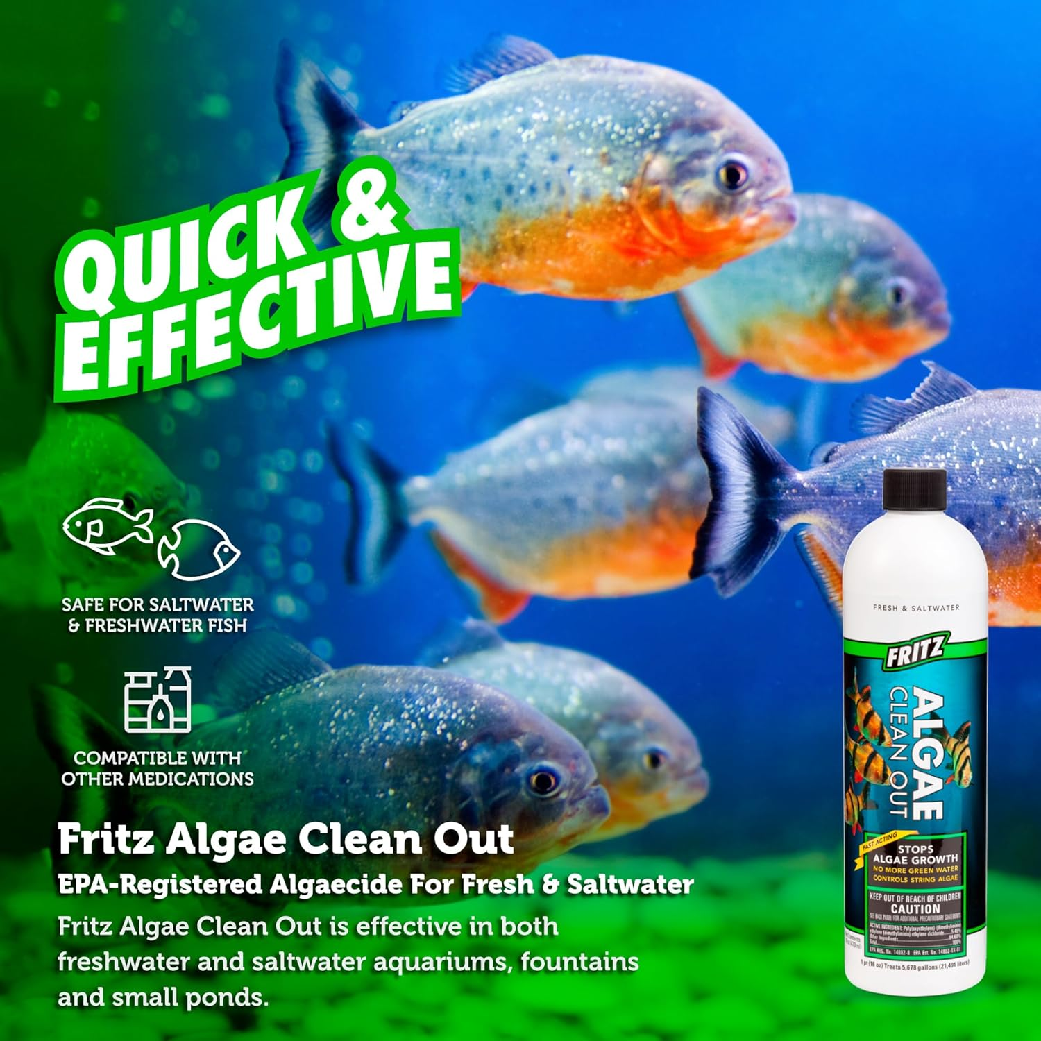 Fritz Aquatics 48016 Fritz Algae Clean Out Algaecide for Fresh and Salt Water Aquariums, 16-Ounce