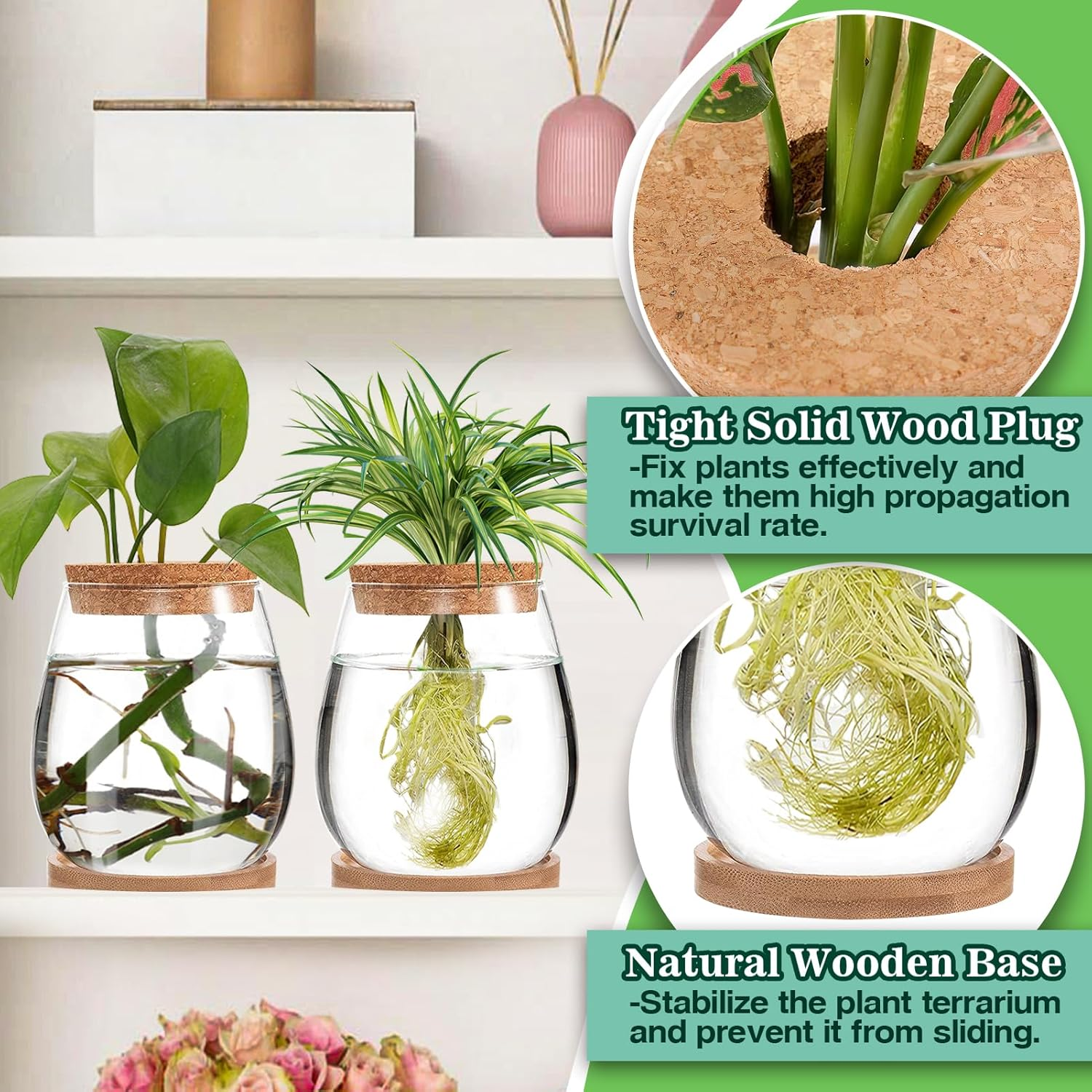 2 Pcs Separated Desktop Plant Terrarium - Plant Propagation Planter Water Station Planting Glass Vase with Lid & Wooden Stand for Growing Hydroponic Home Office Table Decoration image number 3