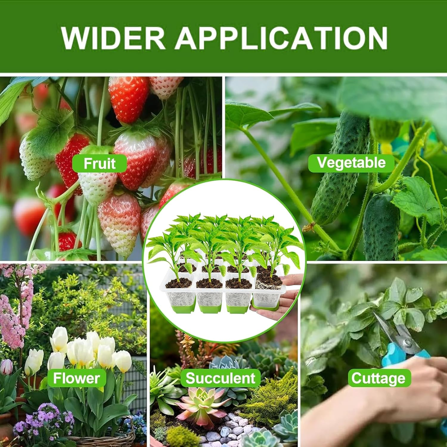 5 Pack Silicone Seedling Starter Trays, Reusable Seed Pots with 12-Cell Flexible Pop-Out Plant Cells, Sprout Trays, Planting Growing Containers for Indoor Gardening & Greenhouse Use image number 5