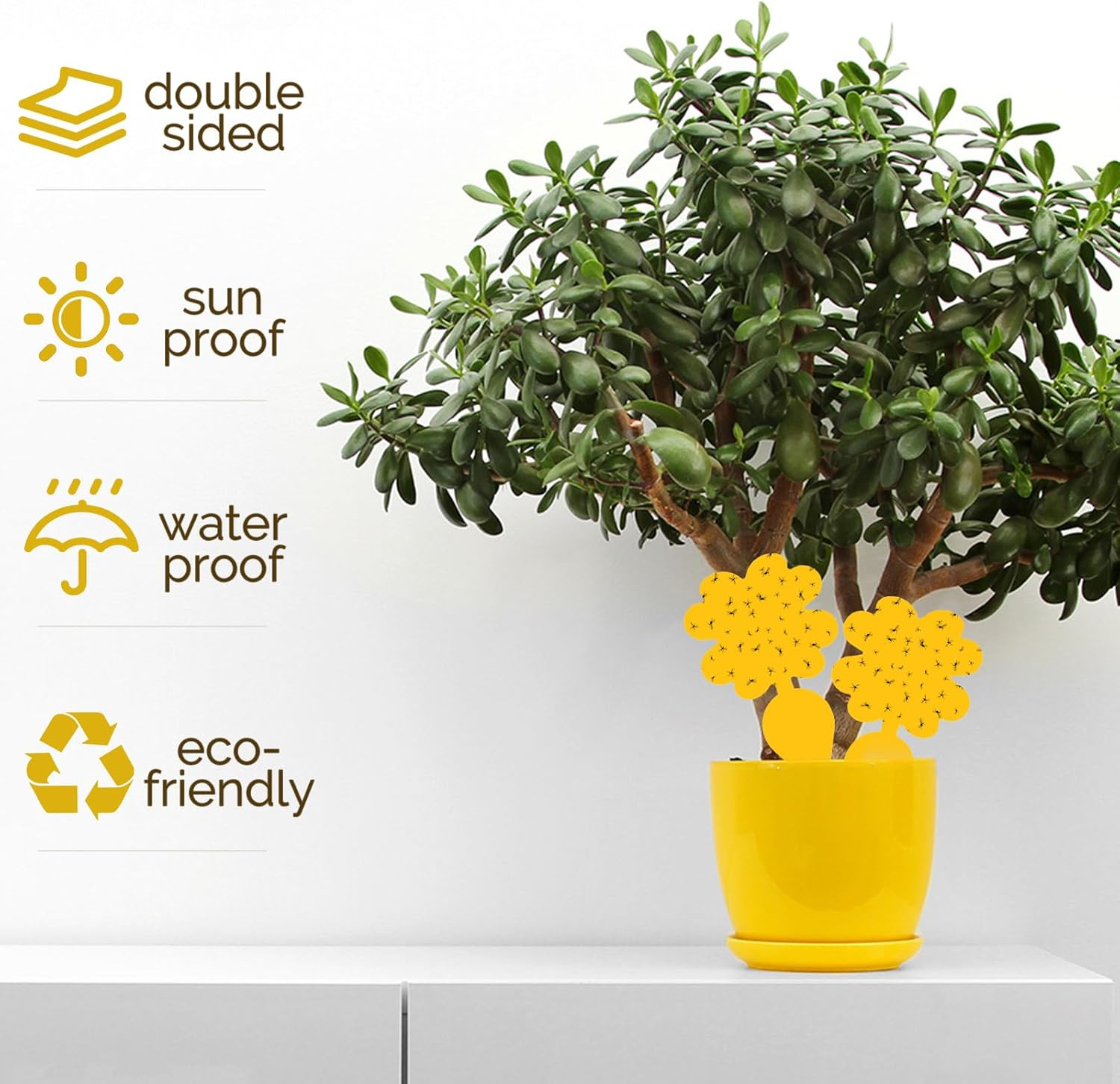 60 Pack Fruit Fly Sticky Trap,Portable Insect Traps for Mosquito Flies Moths,Waterproof Disposable Fly Sticker for Plant,Outdoor Indoor Use image number 5