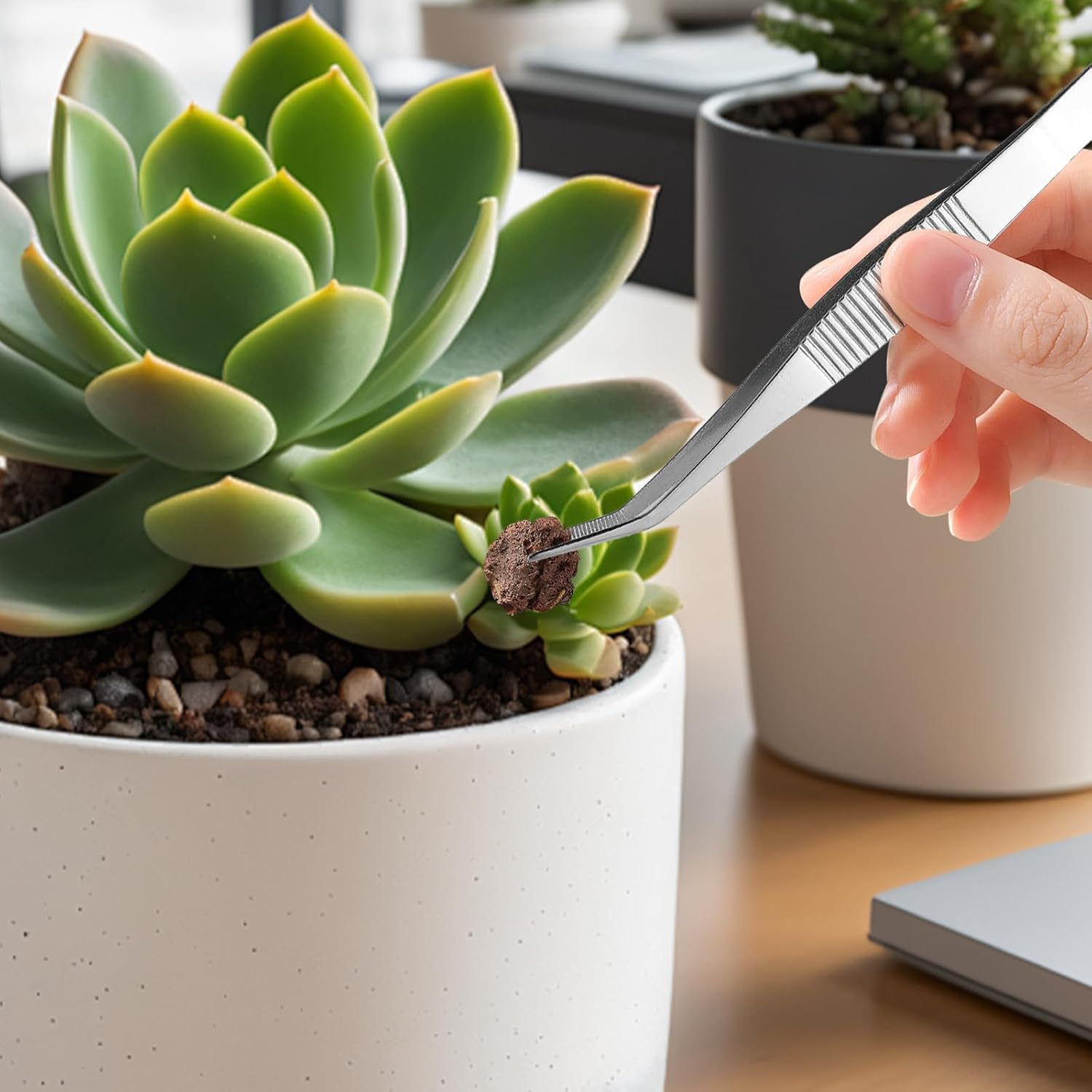 EXEXIUO 3Pcs Long Tweezers for Plants, Stainless Steel Needle Nose Tweezers Set for Succulent Gardening and Kitchen image number 2