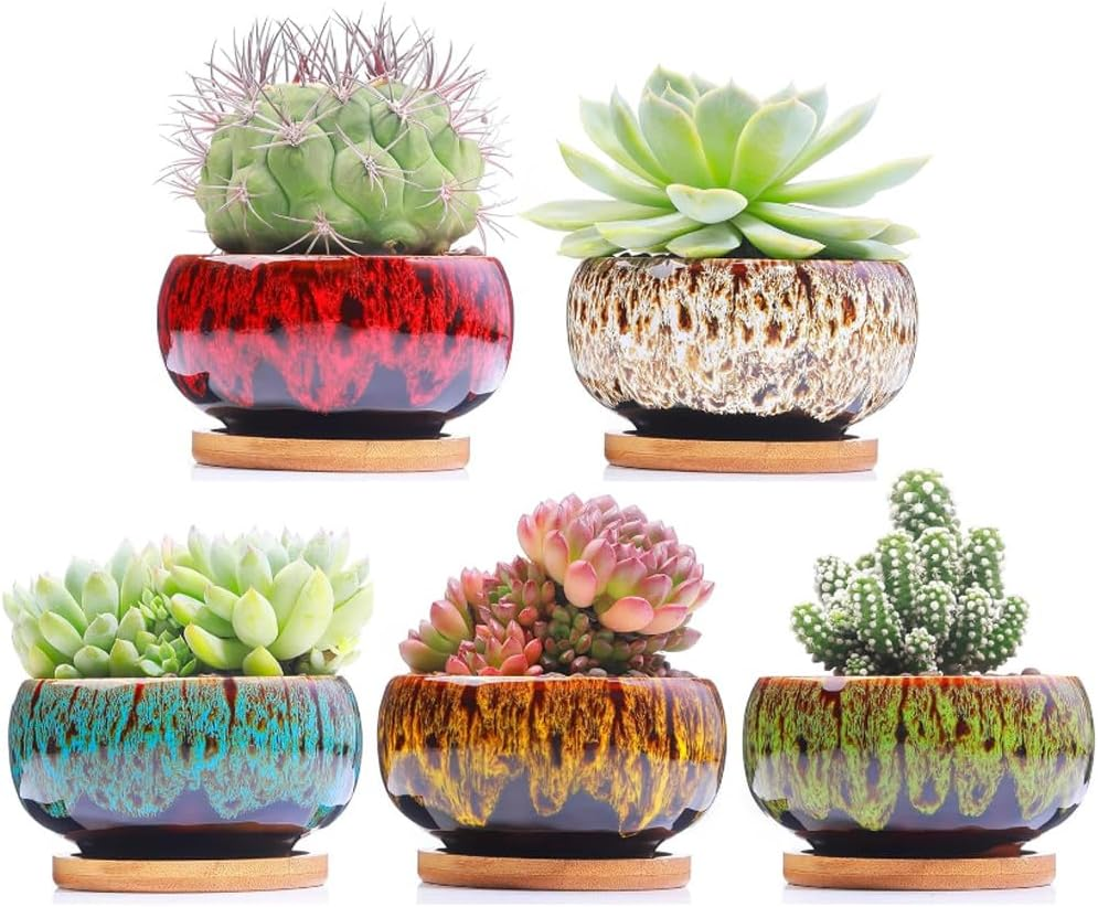 5-Piece Ceramic Indoor Succulent Plant Pots with Drain and Tray, Succulent Plant Pots, round Table Decorative Flower Pots, Ceramic Flower Pot Set, Plants Not Included image number 2