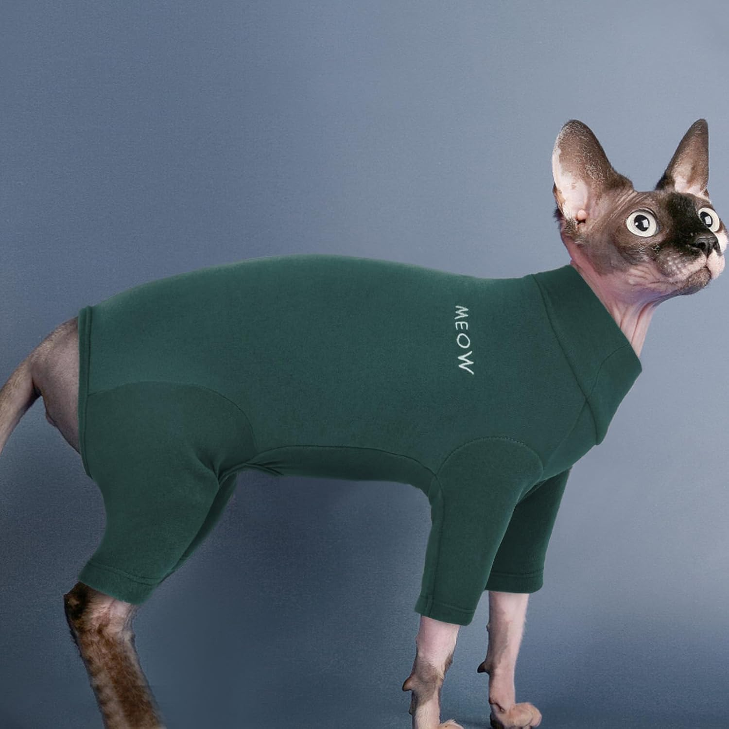 Cat Onesie, Cat Recovery Suit Kitten Clothes Extra Small Kitten Recovery Suit(Dark Green, XS) image number 6
