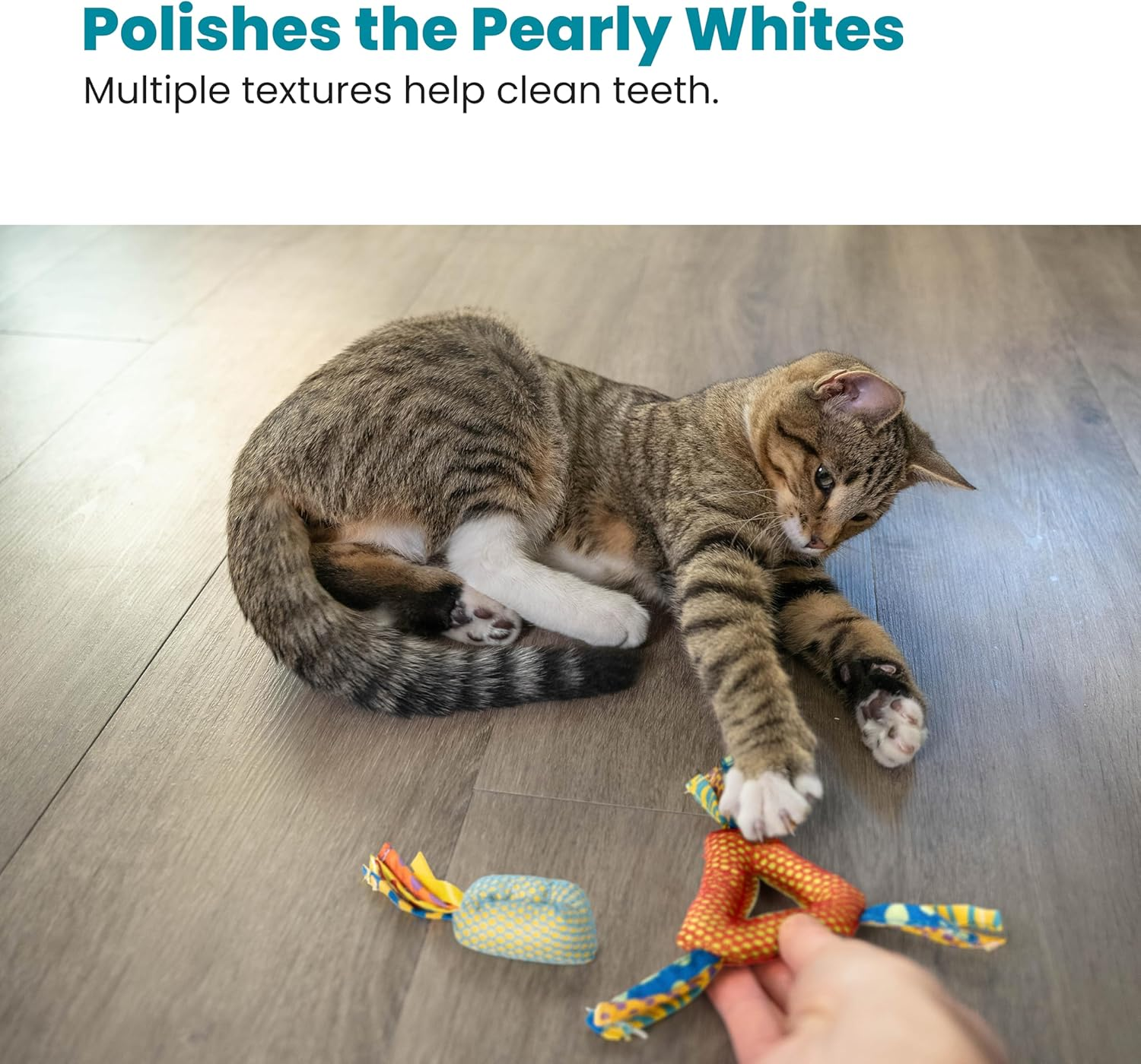 Petstages 326 Dental Health Chews Cat Toy Black & Grays 0.4 Inches X 1.2 Inches X 3.5 Inches image number 3