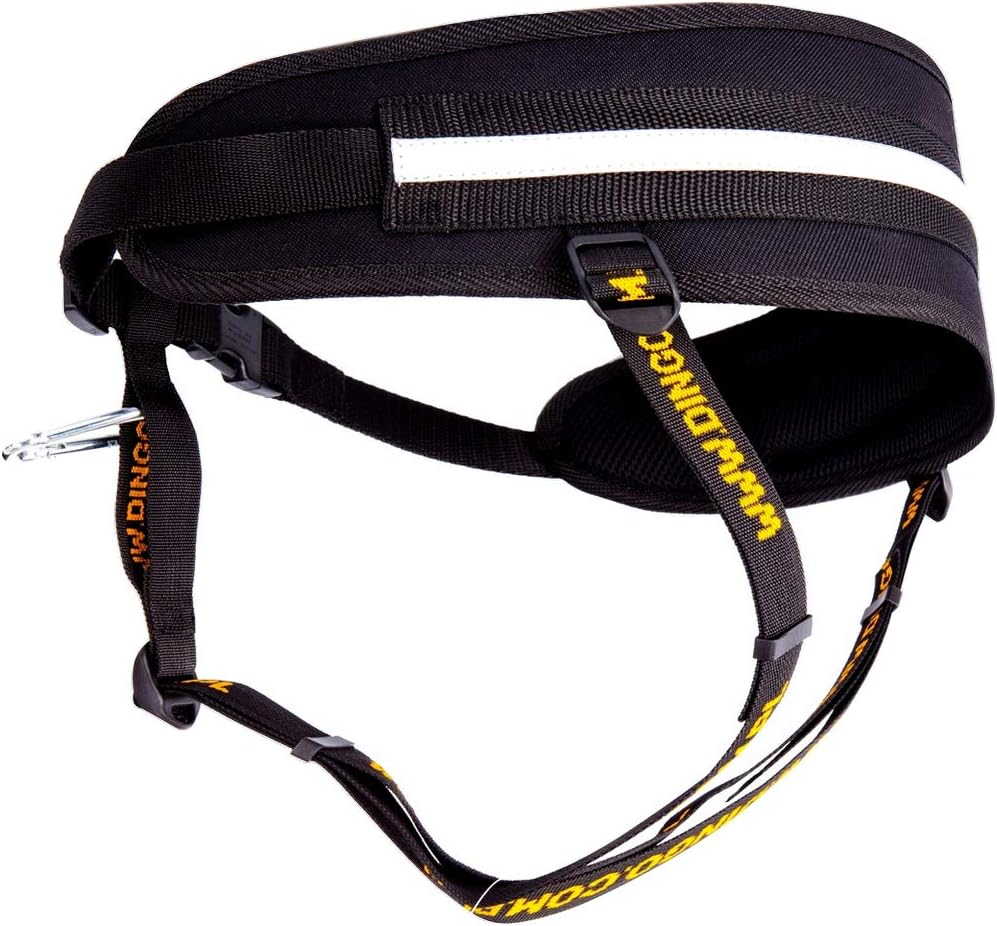 DINGO Canicross Belt 4-In-1 Universal, Adjustable, Safe, Reflective, Multifunctional, Hands-Free Dog Walking Belt for Running, Sports, Jogging, Training, Black (12780-2) image number 3