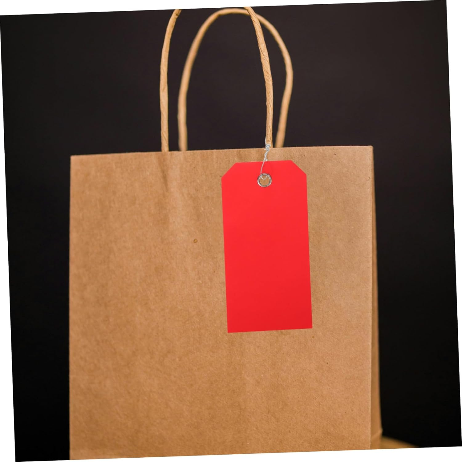 DIKACA 100Pcs Blank Shipping Tags with Wire Ties Writable PVC Luggage Tags for Suitcase and Backpack Identification Reusable Heavy Duty Shipping Hanging Labels for Travel and Inventory image number 4