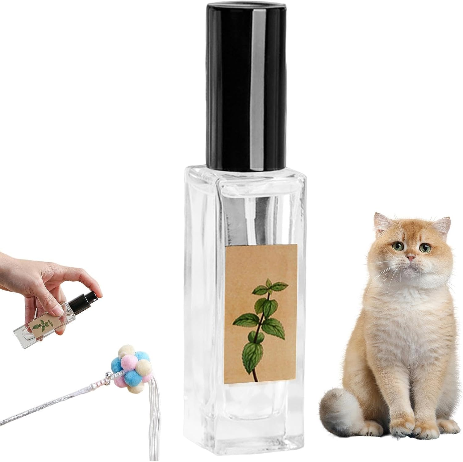 Catnip Spray for Cats,Catnip Attractant Spray - Training Aid Liquid Mist for Cats, Safe Scratching Spray Mist for Nest, Post, Toys image number 6