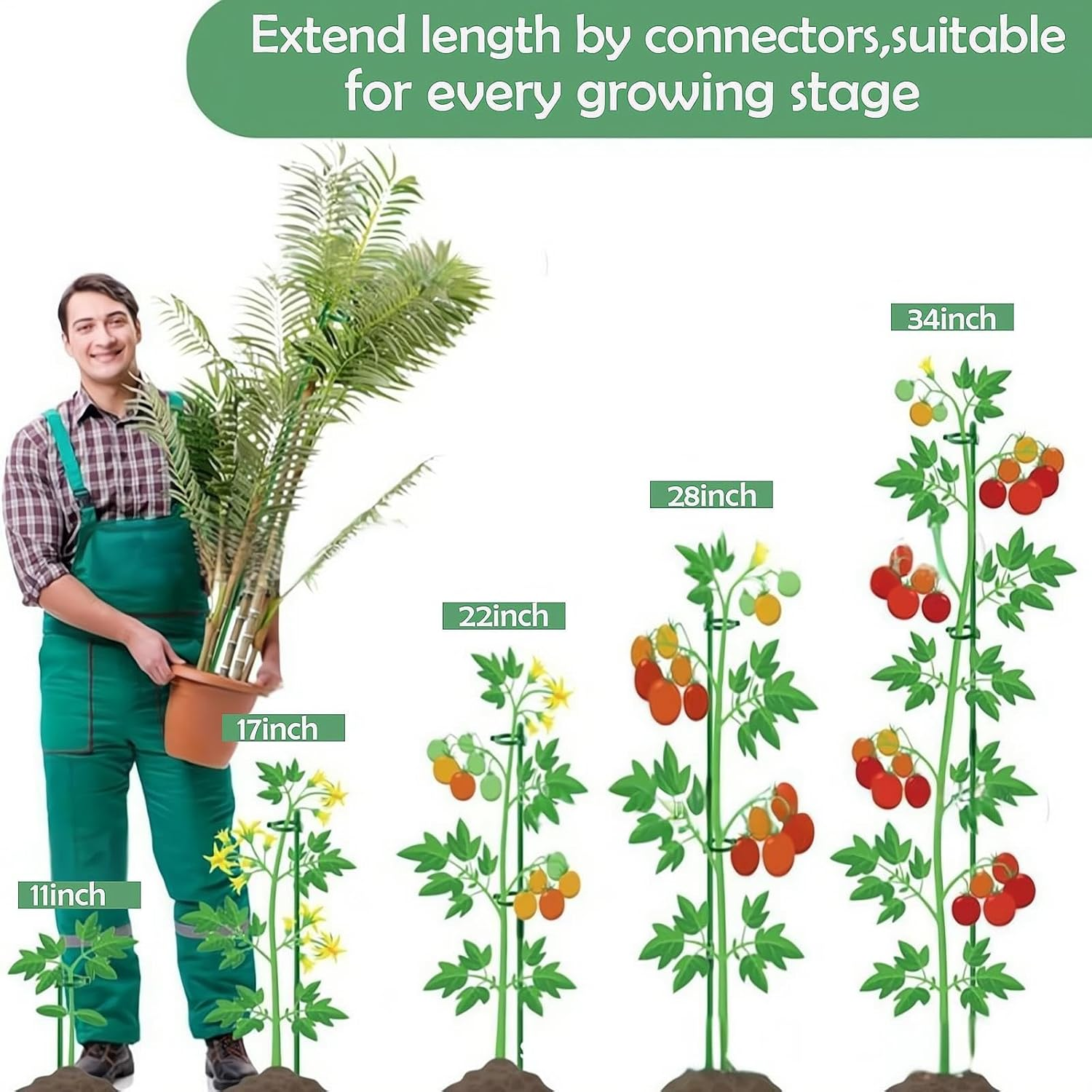 20Pcs Plant Support Stakes for Garden,12-Inch Adjustable Rings with 20 Butterfly Clips, 20 Snap Fasteners& 10 Connecting Tubes - Sturdy Stakes for Vegetables,Flowers,Potted Plants,Tomatoes,Roses image number 4