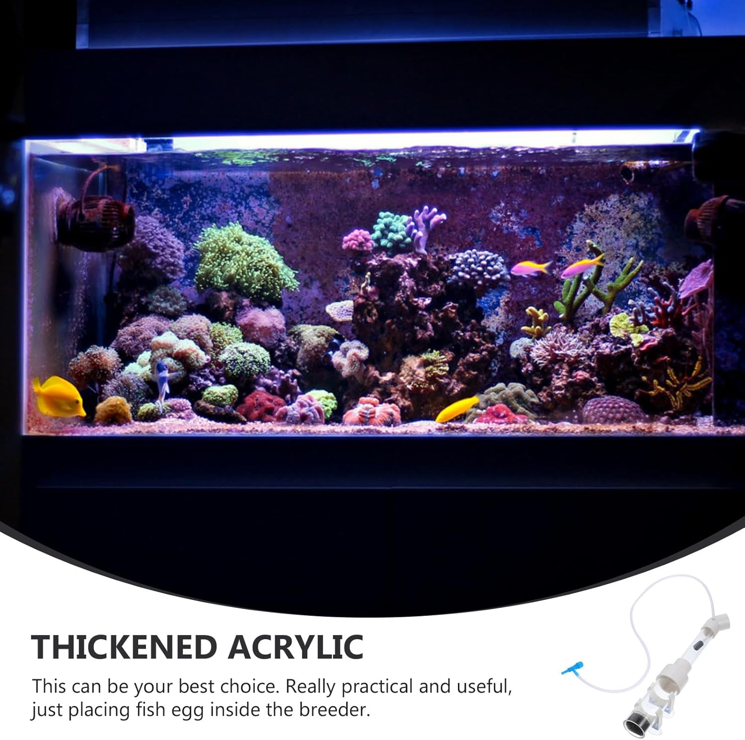 ANDRESLAD 40Mm Aquarium Fish Egg Incubator Tube for Cichlid Breeding Tank Mouth-Brooding Fish Hatchery Supply Aquatic Pets Random Style image number 2