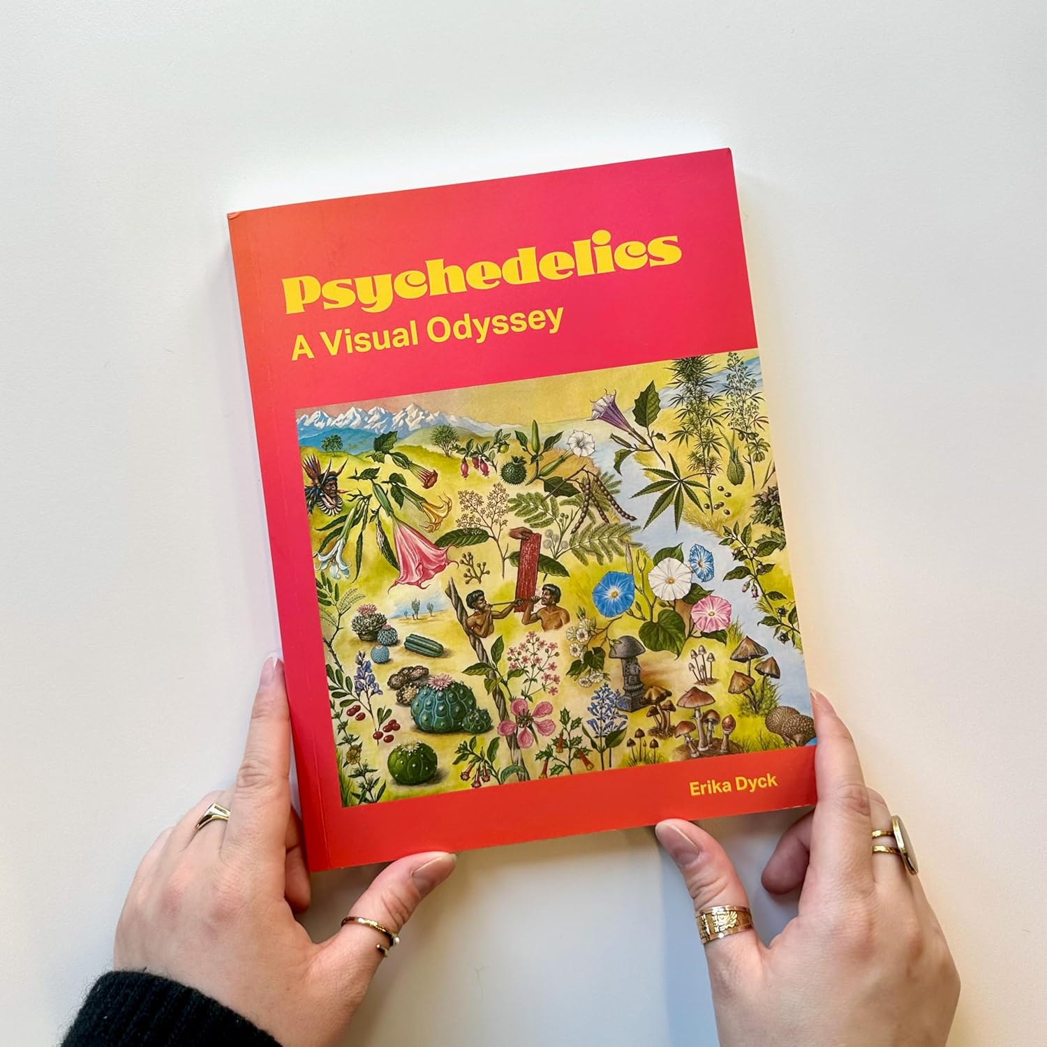 Psychedelics: a Visual Odyssey