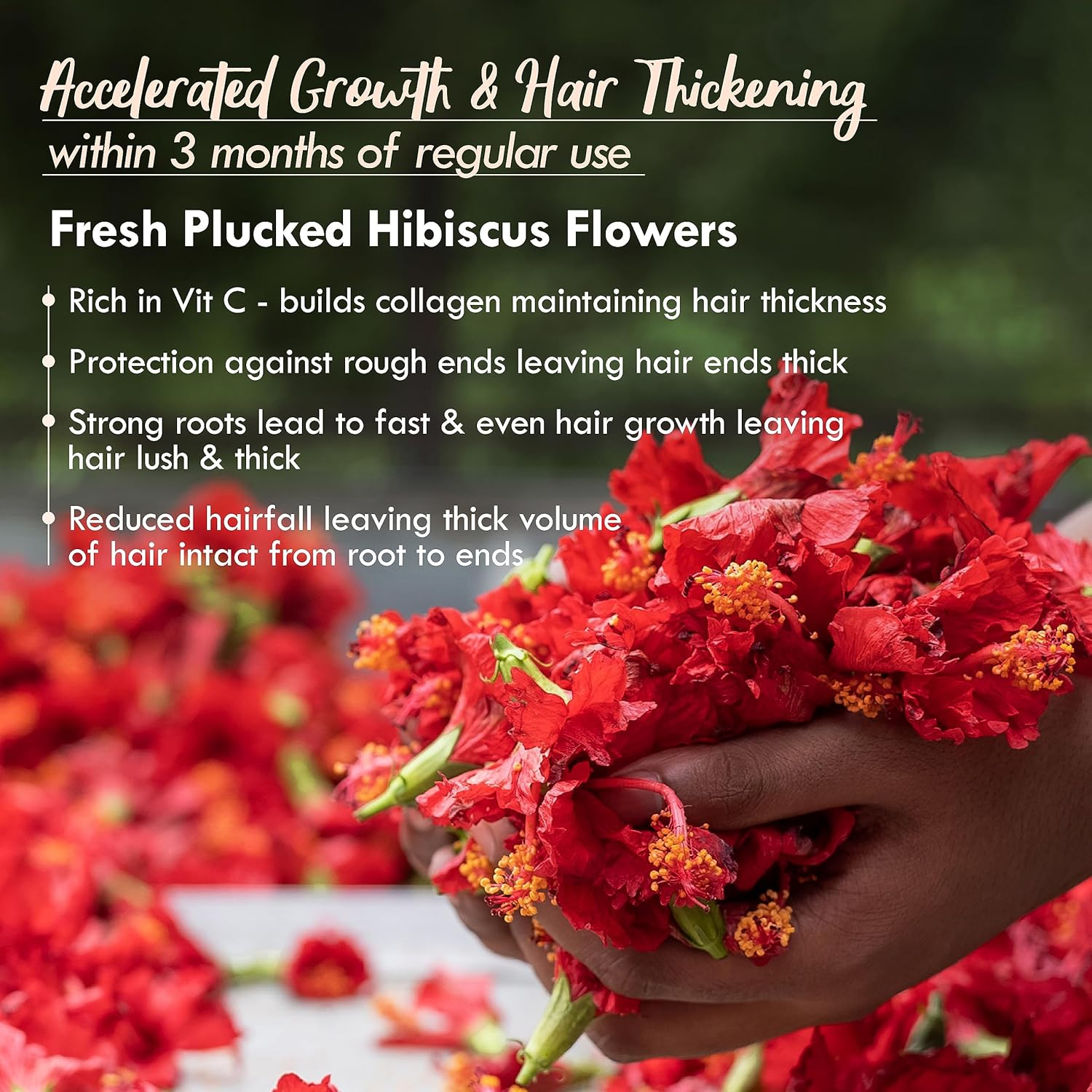 Nat Habit - Back to Natural Secrets Everyday Dual Tooth Wooden Kacchi Neem Comb & Hibiscus Hair Nutrimask for Growth, Hairfall Control & Smoothening (Combo Pack of 3) image number 4