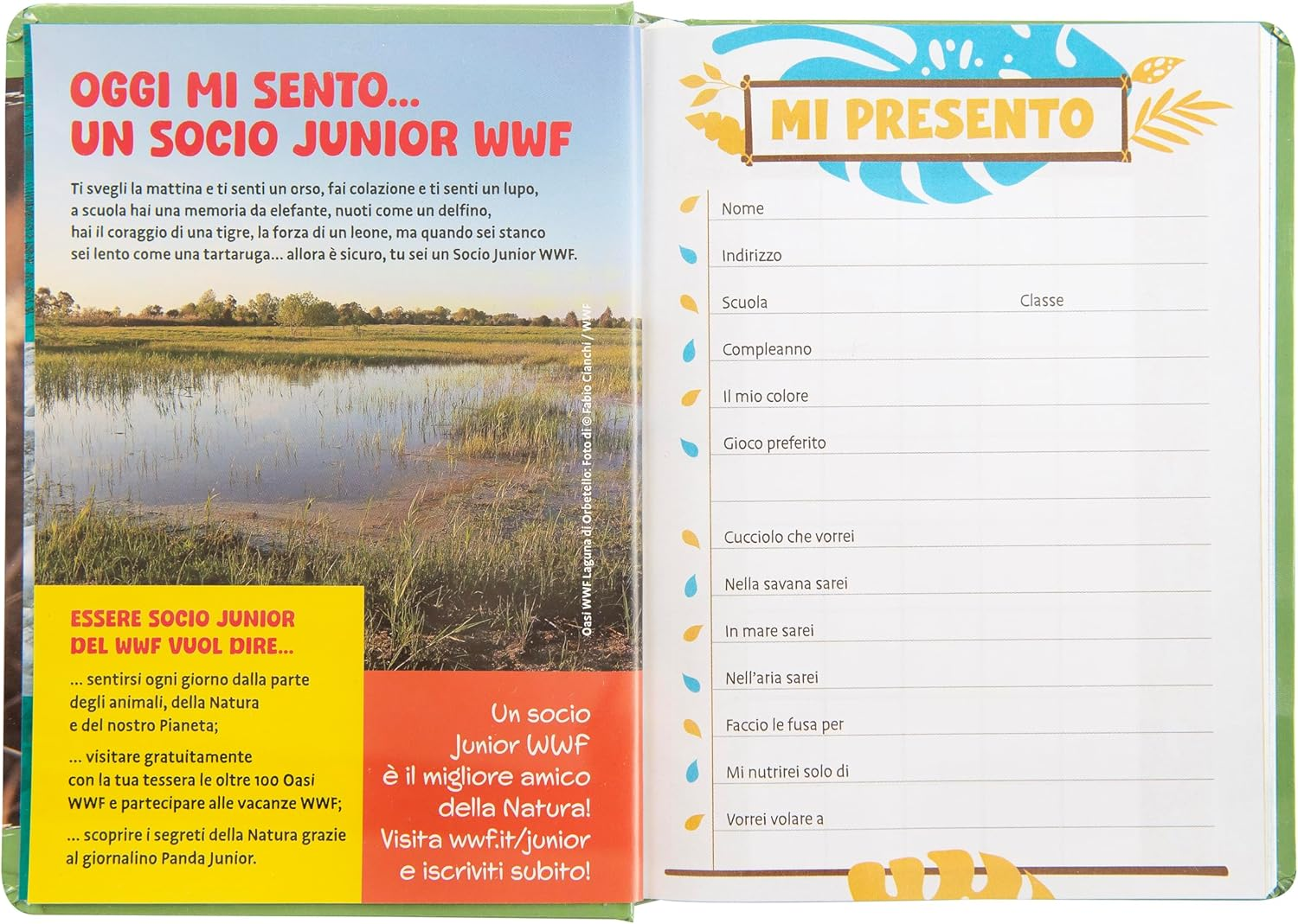 WWF Academic Diary 2025-2026 Official WWF Diary 12 Months Ideal for Elementary or Middle School with Hard Cover with Leopard Photo and 352 Coloured Pages 5.1 X 7 Inches image number 5