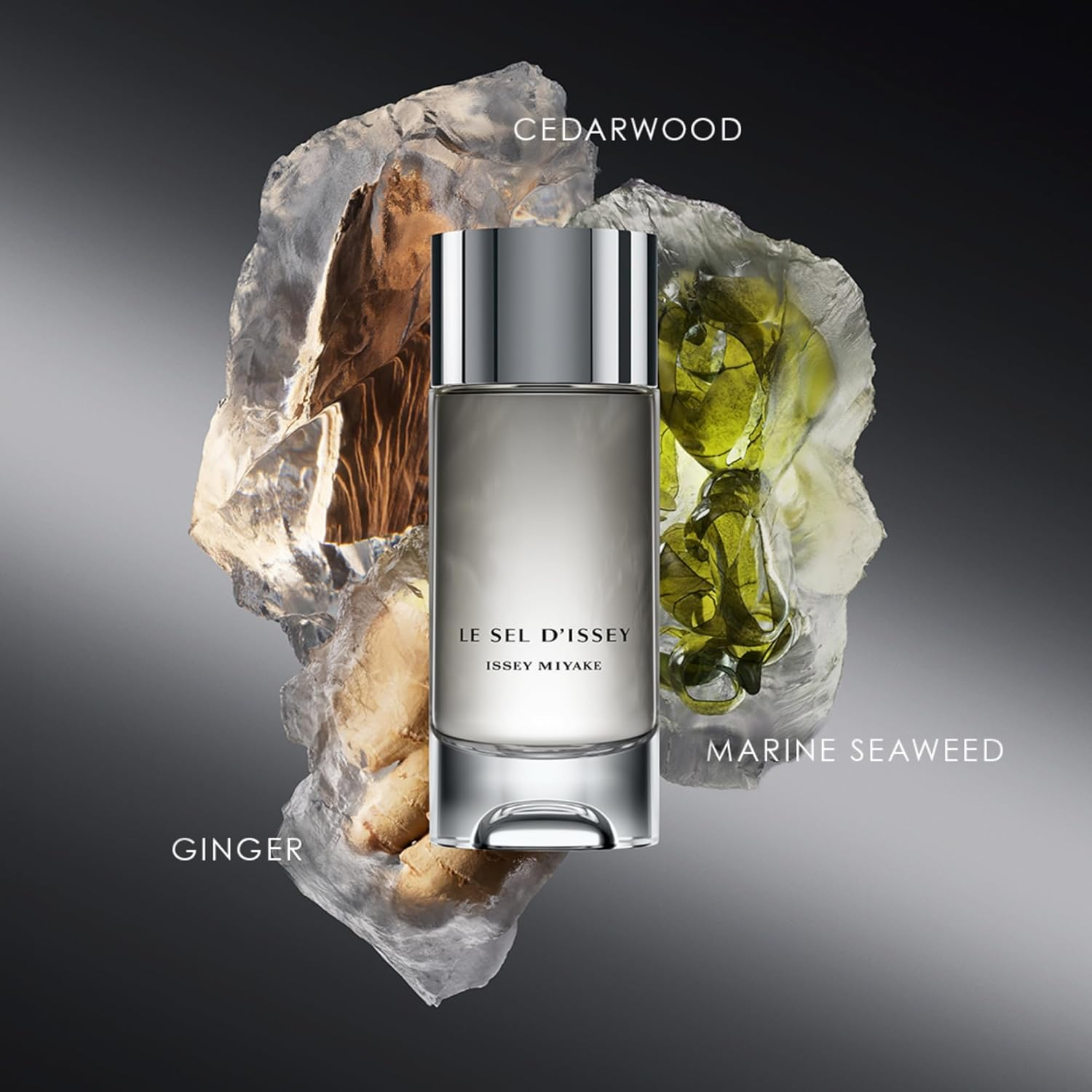 Issey Miyake Le Sel D'Issey EDT 100Ml image number 3