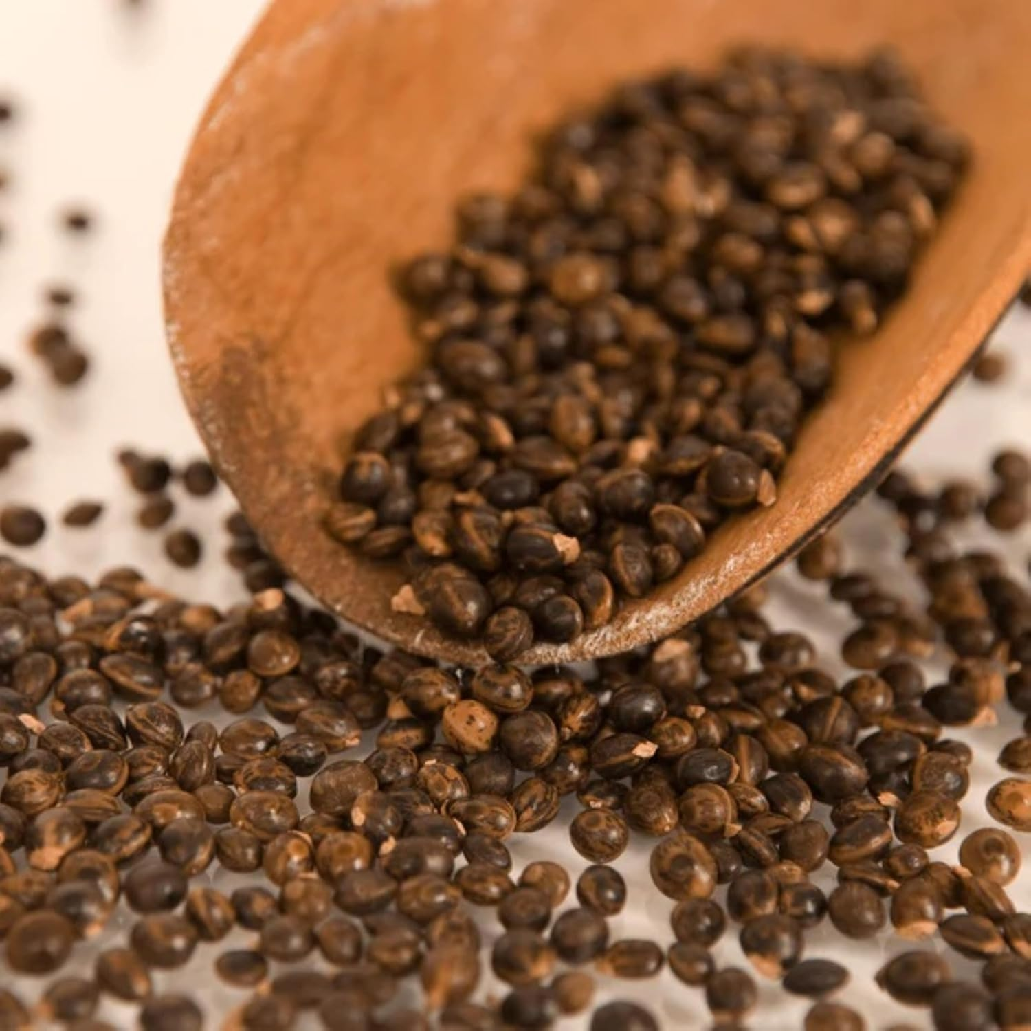 Wattleseed and Garlic Dukkah 60 G, Outback Spirit image number 1