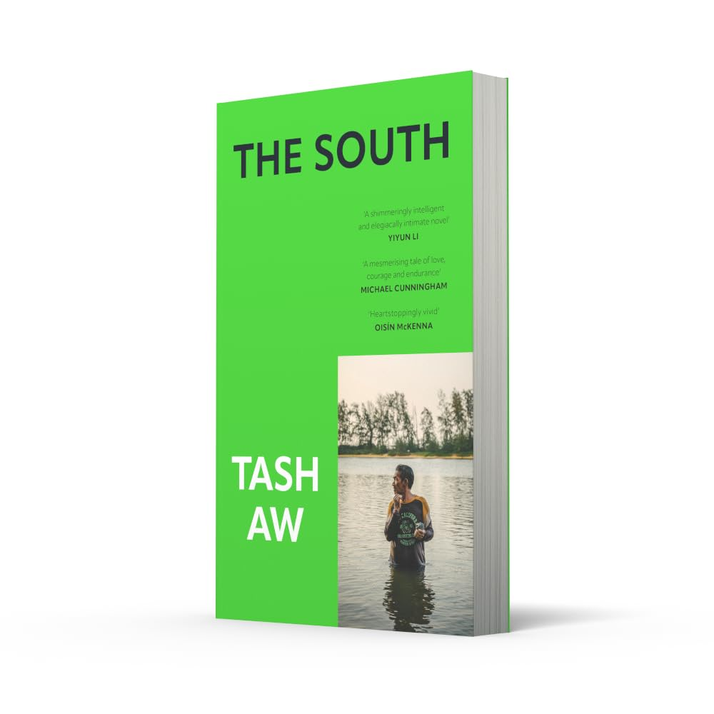 The South image number 3