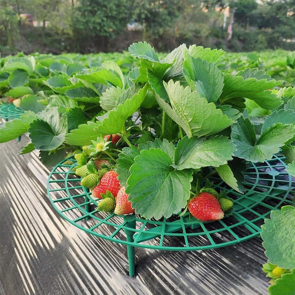 4 Sets Strawberry Plant Support with Mesh Plant Cover,Strawberry Growing Racks Sets with Iron Plant Nails and Storage Bag Planting Stand for Garden Vegetables image number 4