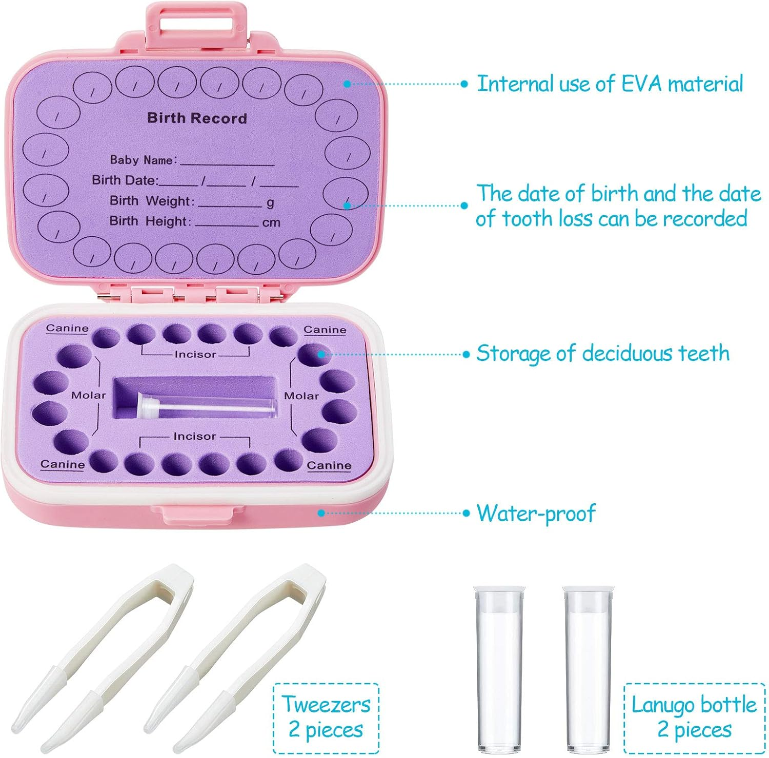 Jetec 2 Pieces Baby Teeth Keepsake Box PP Tooth Fairy Box Kids Tooth Storage Holder Organizer for Lost Teeth Cute Kids Deciduous Collection to Keep the Childhood Memory(Blue and Pink) image number 2