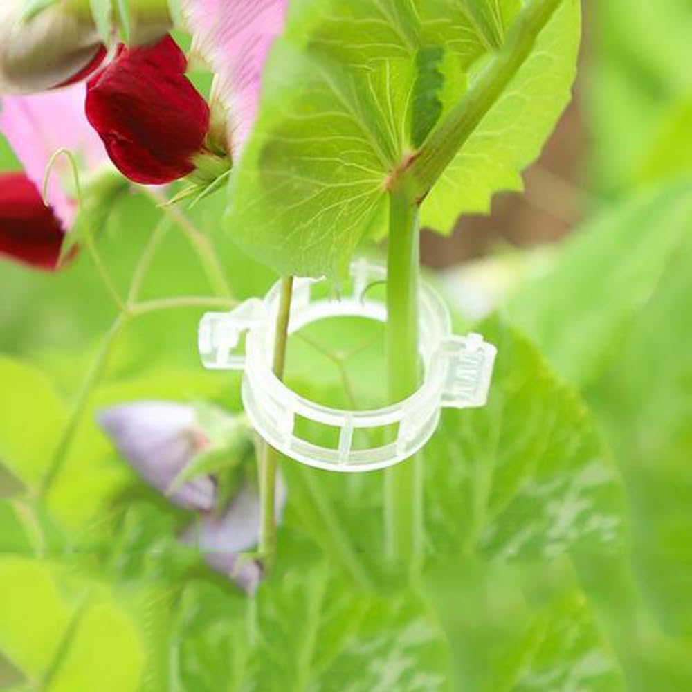 100 Pcs Plastic Plant Clips,Reusable Plastic Trellis Plant Support Clips Plant Fixing Clips Garden Clips for Climbing Plants,Grape Tomato Vine,Vegetables Plants