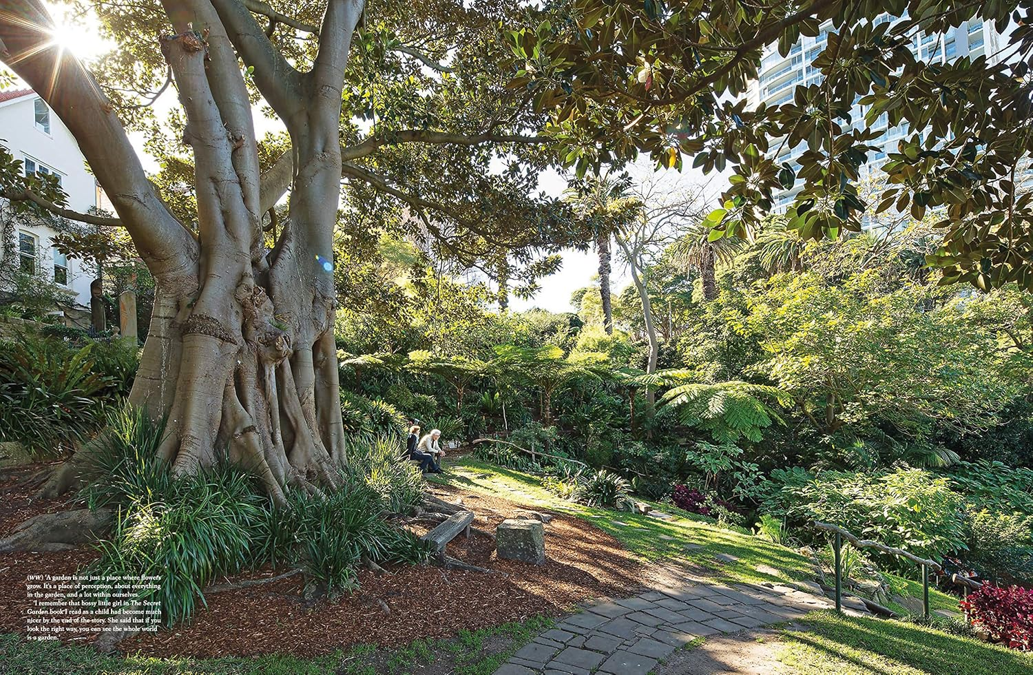 Wendy Whiteley and the Secret Garden image number 5