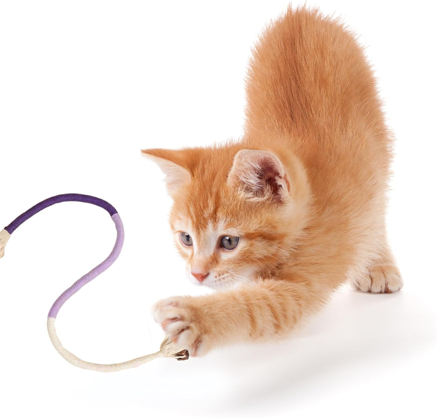 Interactive 70 Cm Catnip Toy, Dental Care and against Bad Breath, Pack of 3 Cat Toys with Katnip for Healthy Teeth, Family-Friendly Paw Hunting Cat Toy with Fur Miracle Mint Bite image number 4