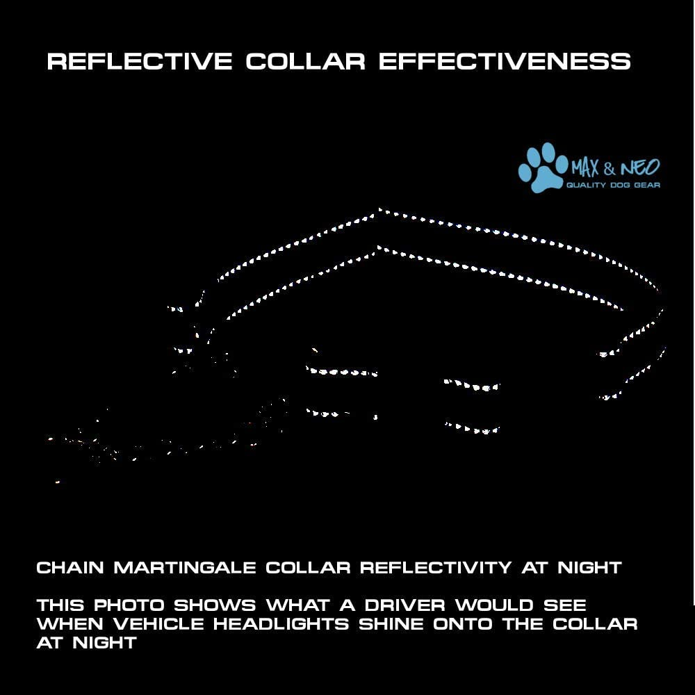 Max and Neo Stainless Steel Chain Martingale Collar - We Donate a Collar to a Dog Rescue for Every Collar Sold (Medium, Teal) image number 6