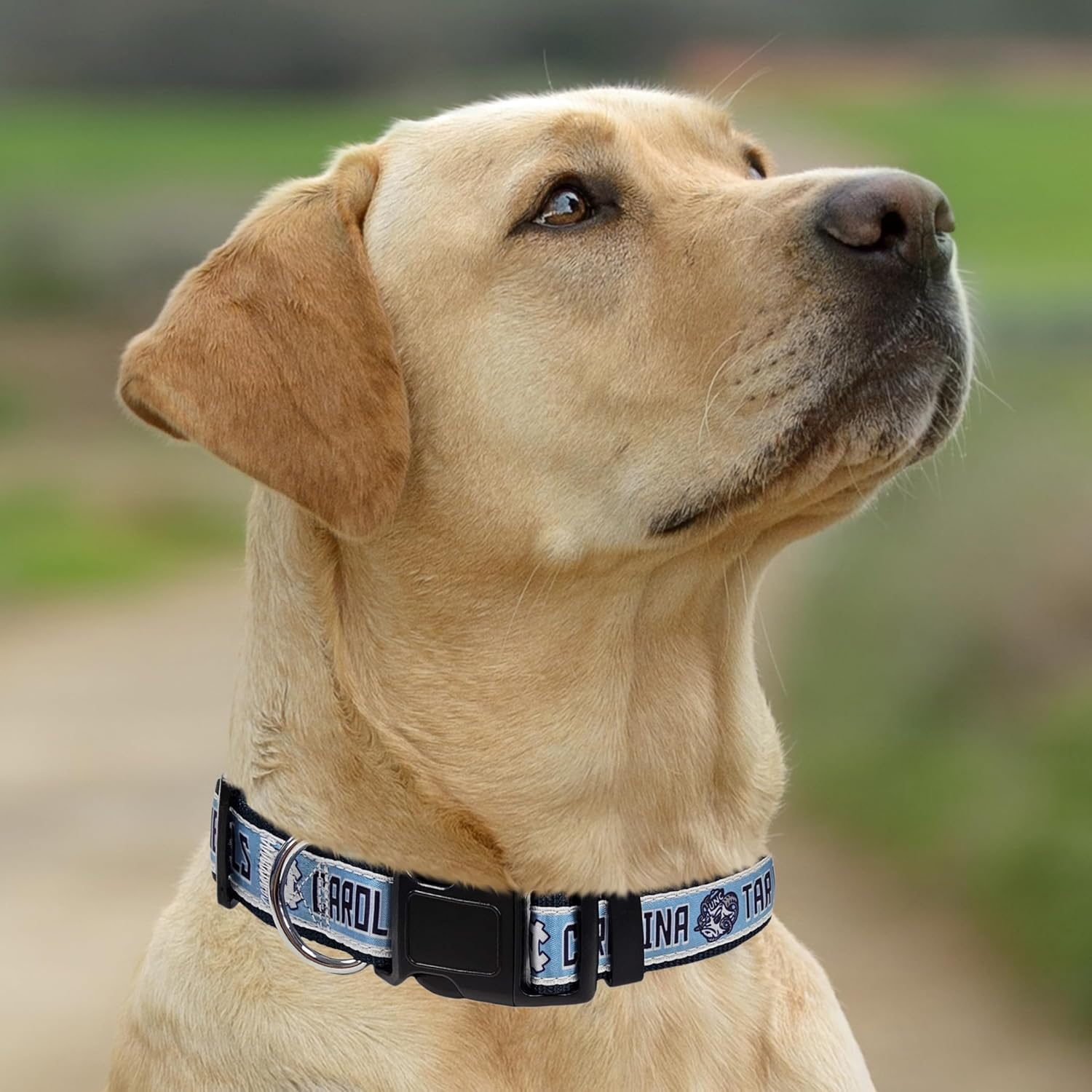 Pets First NCAA Licensed PET Collar Strong, and Durable Dog Collar, Medium image number 2