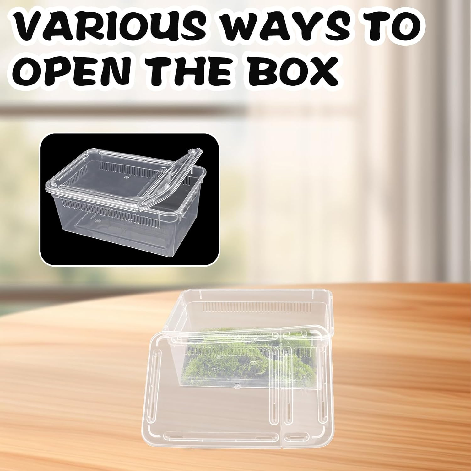 10 PCS Reptile Feeding Box, Isopod Enclosure Plastic Terrarium, Reptile Breeding Box for Bearded Gecko Dragon Lizard Spider Frog, Rreptile Carrier (Clear) image number 3