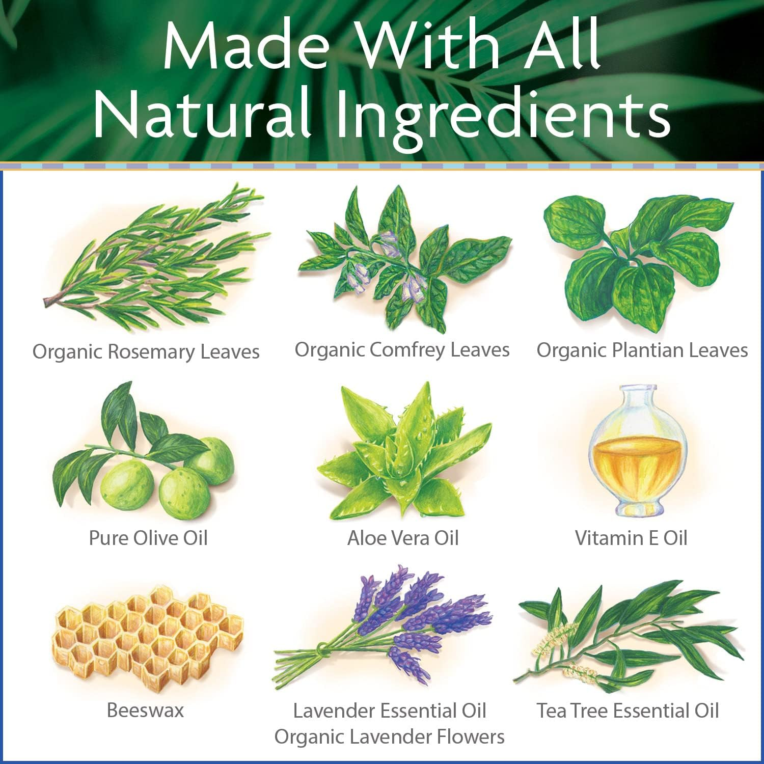 Surfer'S Salve Soap image number 2