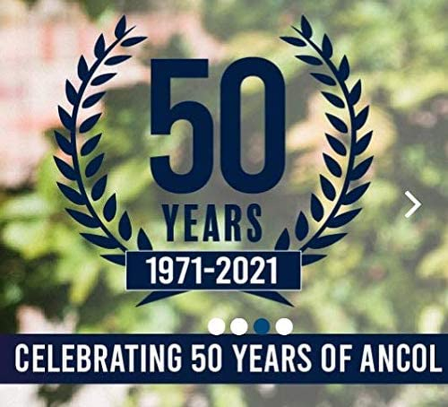 Ancol Timberwolf Leather Dog Lead, 1 M, Blue image number 5