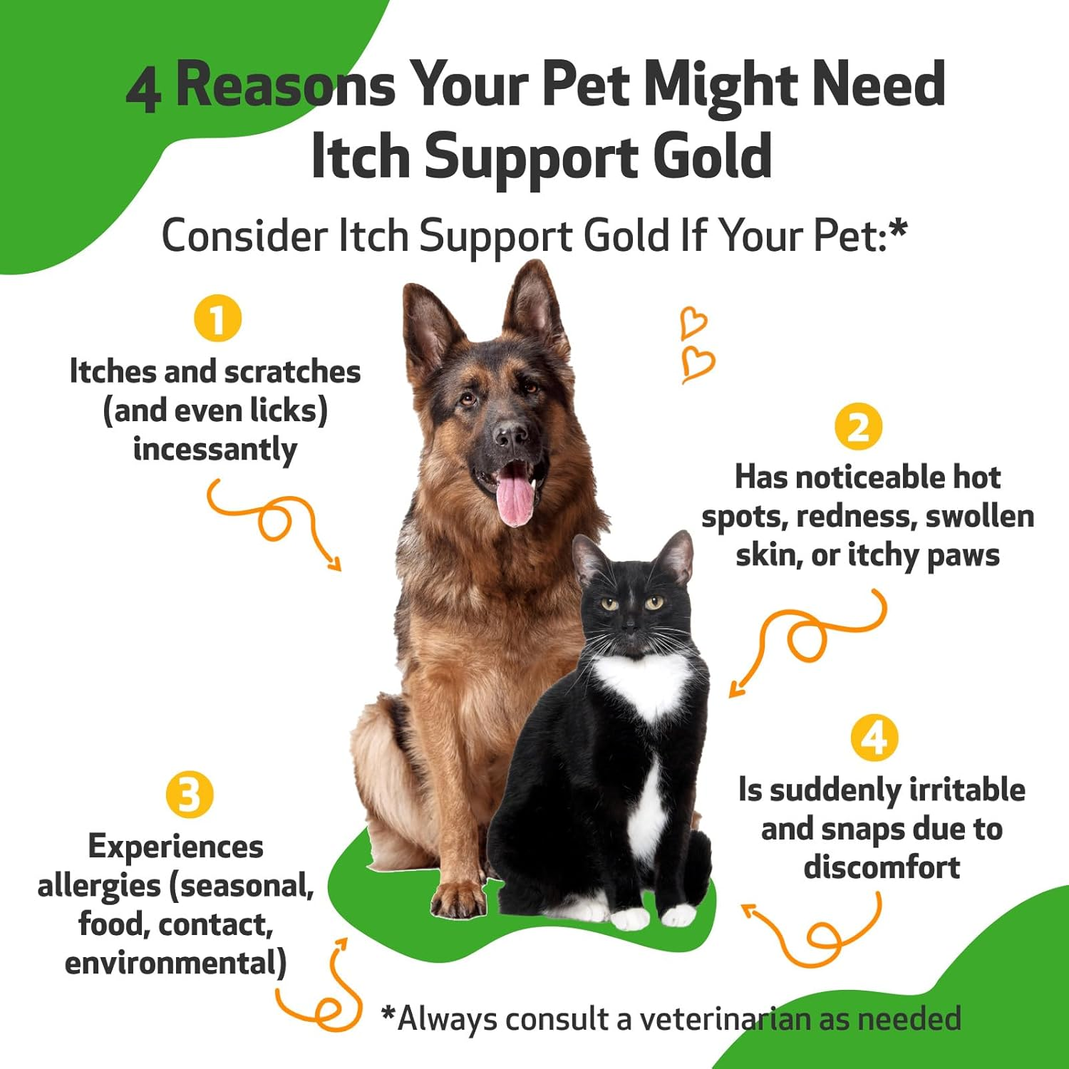 Pet Wellbeing Itch Support Gold for Dogs & Cats - Occasional Itching, Scratching, and Hot Spots, Environmental & Seasonal Allergies, Dong Quai - Veterinarian-Formulated Herbal Supplement 4 Oz (118 Ml) image number 2