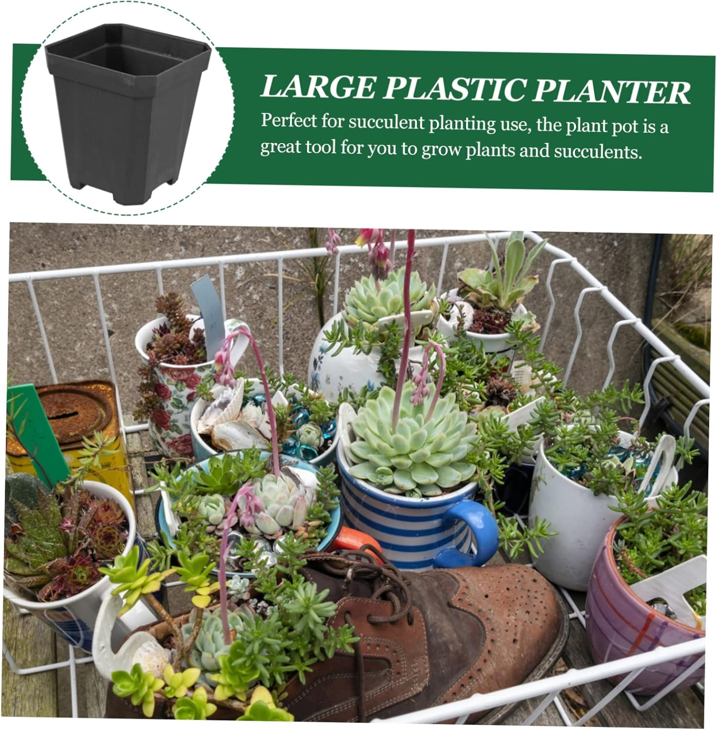 20Pcs Black Succulent Starter Pots Nursery Planters for Gardening and Seedling Propagation Outdoor Small Plant Containers