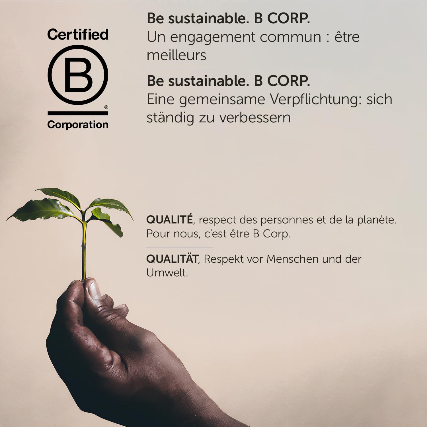 Illy Colombia Coffee Beans 250 G image number 5