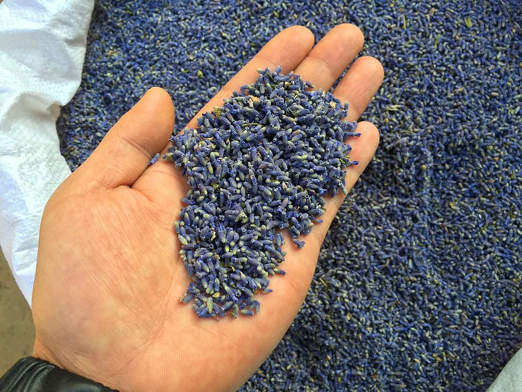 Tooget Fragrant Lavender Buds Organic Dried Flowers Wholesale, Ultra Blue Grade - 1/2 Pound - 2 Pound image number 2