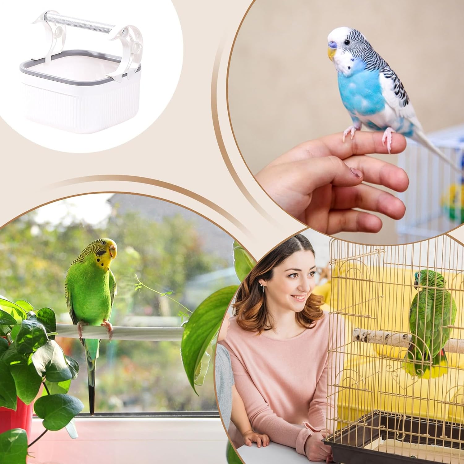 Parakeet Feeder - Clear Bird Feeder inside Cage | with Anti-Slip Bracket Stainless Bowl for Hummingbird Lovebirds Parrots Indoor Garden