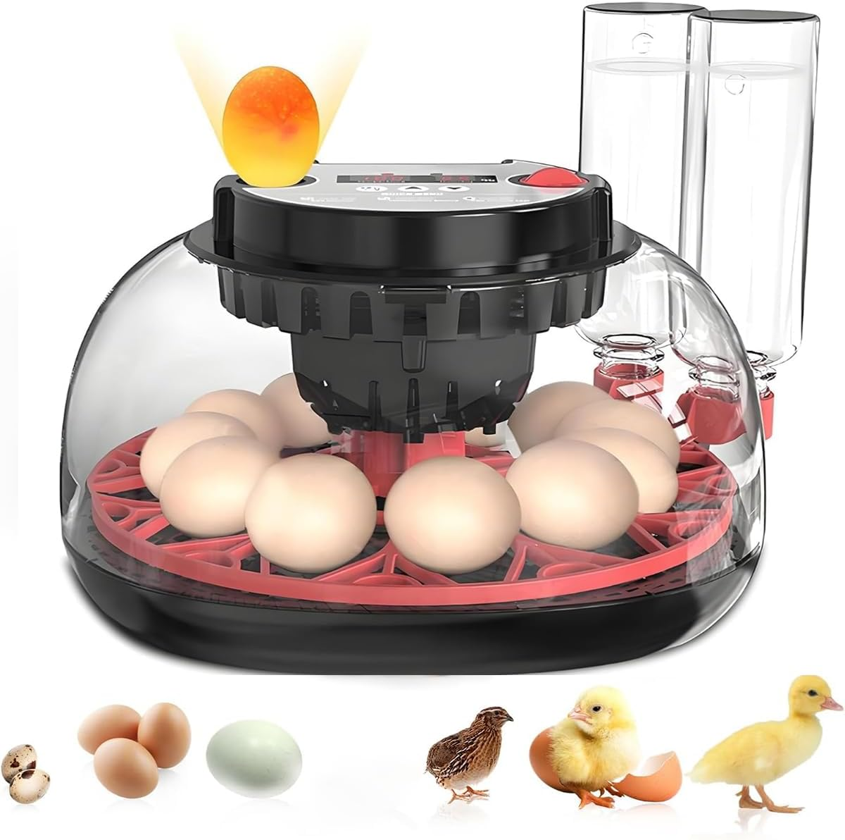 CLOUDSEASON Egg Hatching Incubator 12 Egg Capacity with Automatic Constant Temperature Humidity Control & Auto Egg Turning for Chickens Ducks Geese Quail Pigeons (European Plug) image number 6