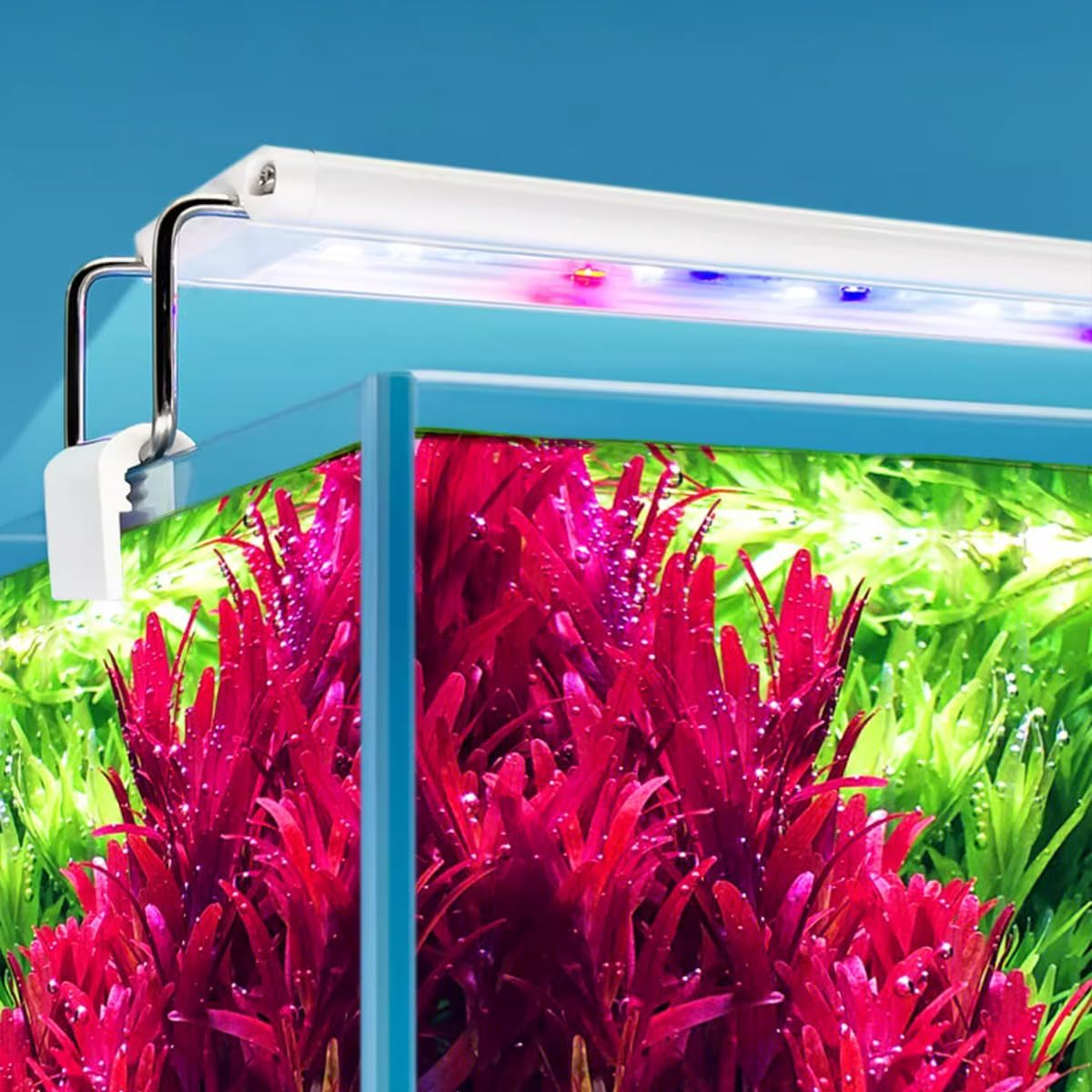 AIMALL LED Aquarium Light with Colour Changing Modes - Energy Efficient Lamp with Adjustable Bracket for Fish Tank, Multiple Colour Modes, 18Cm