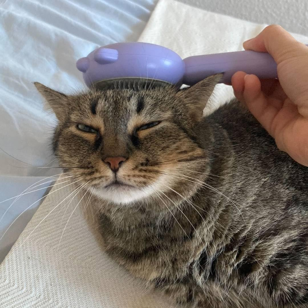 The Better Cat - Cat Hair Brush, Undercoat Brush, Cat Fur Brush, Brush for Cats Short and Long Hair, Hair Bun Remover for Cats, Self-Cleaning Brush for Cats