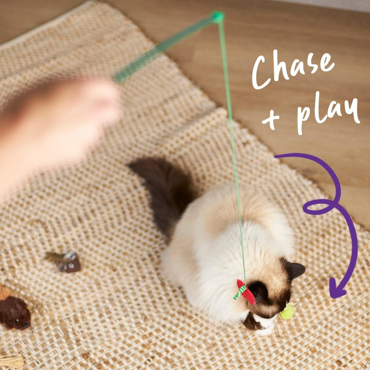 Kazoo Hungry Caterpillar Wand Cat Toy