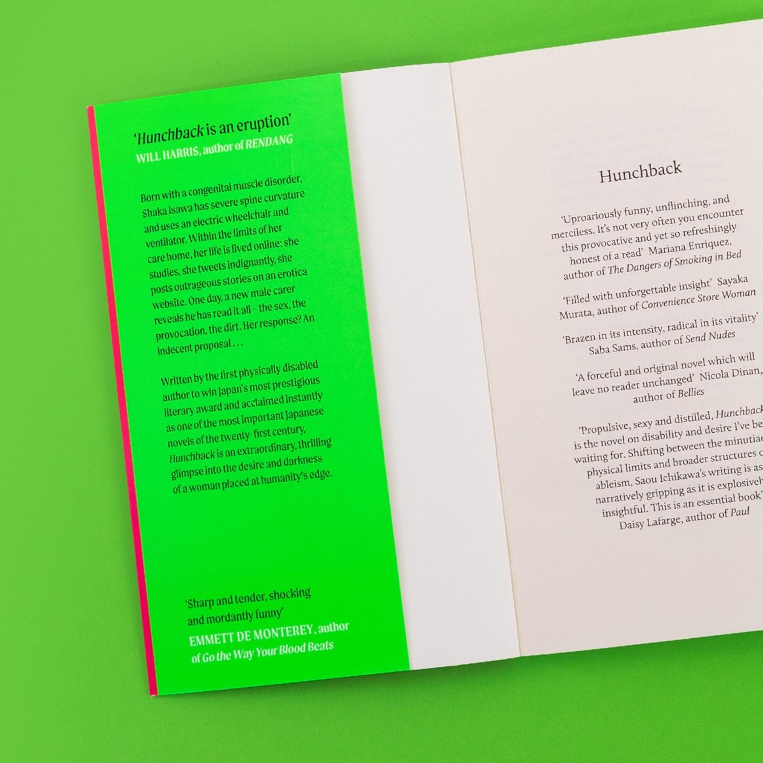 Hunchback: Longlisted for the International Booker Prize 2025 image number 3