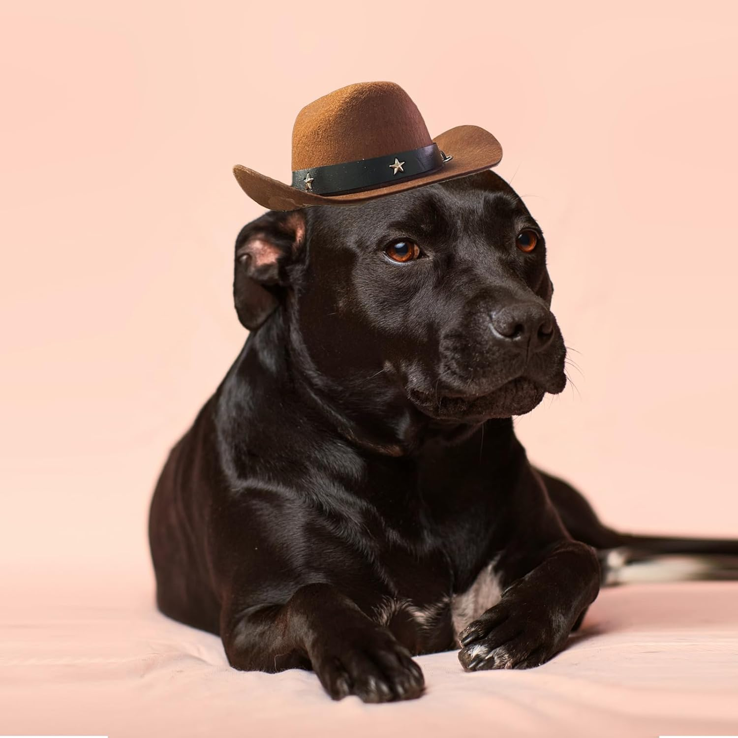 AWOCAN Pet Dog Cowboy Hat Cosplay Cap Puppy Pet Dog Cat Holiday Costume Pet Party Decoration